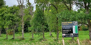 L1, B1 Prairie Ridge Addition, White, SD 57276