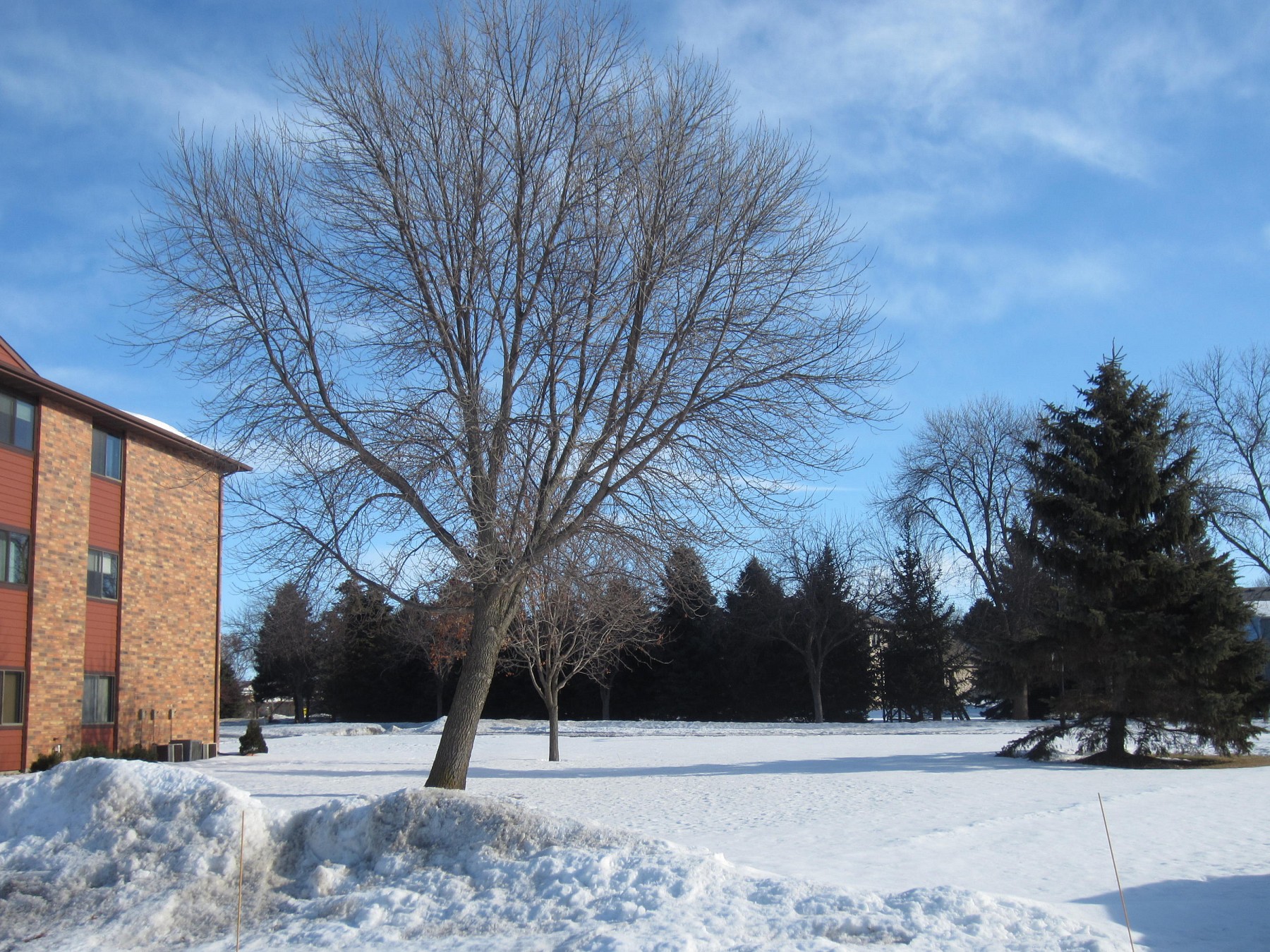 808 Christine Avenue, Brookings, SD 57006