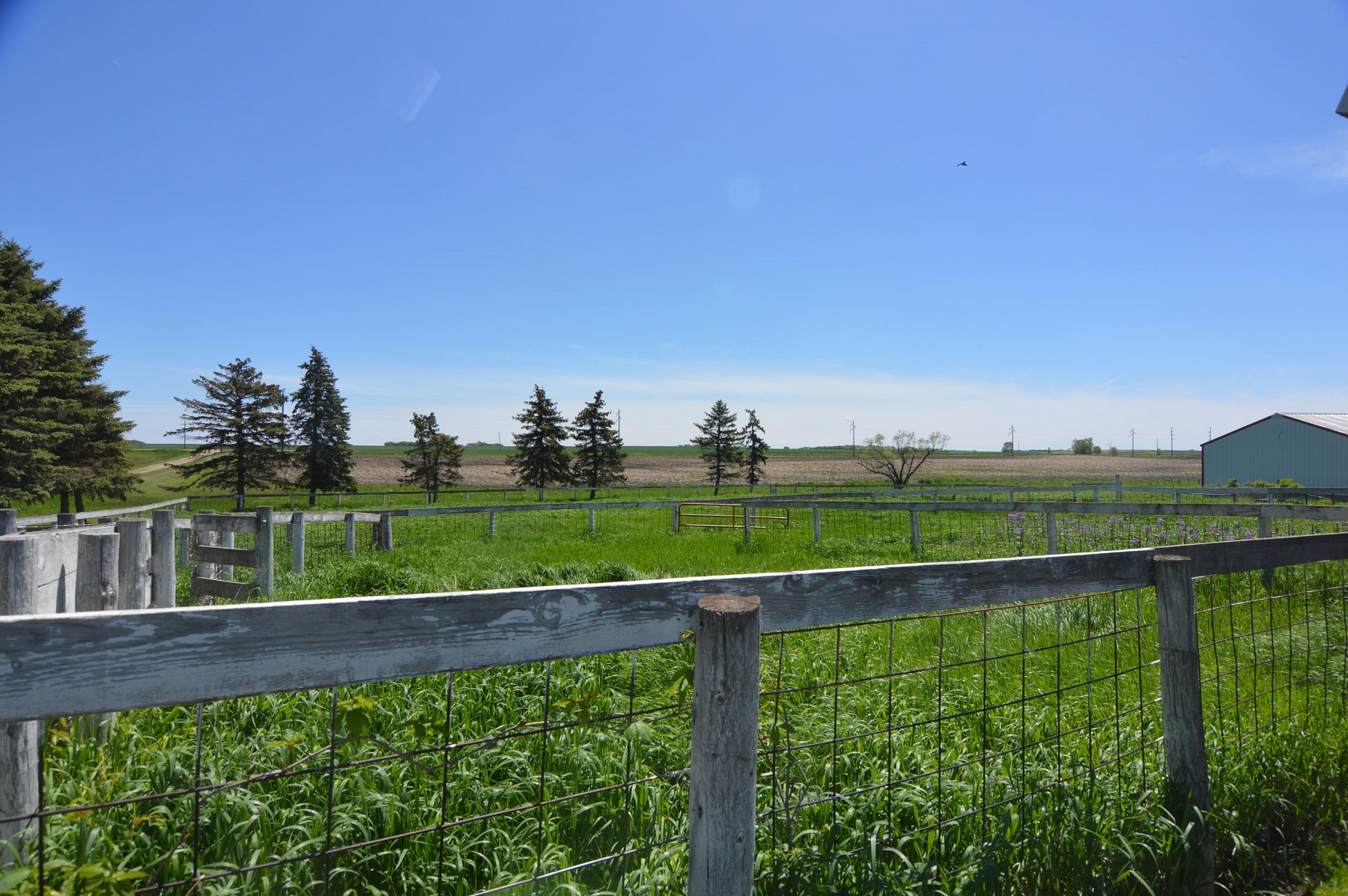 21469 452nd Avenue, Arlington, SD 57212