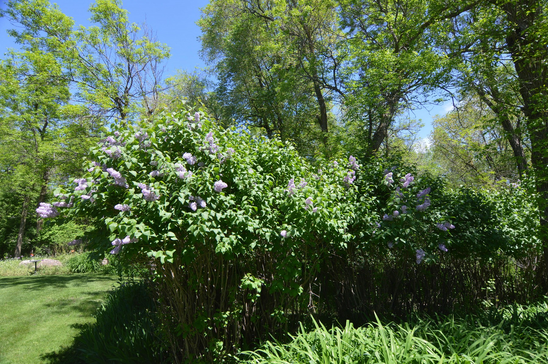 21469 452nd Avenue, Arlington, SD 57212