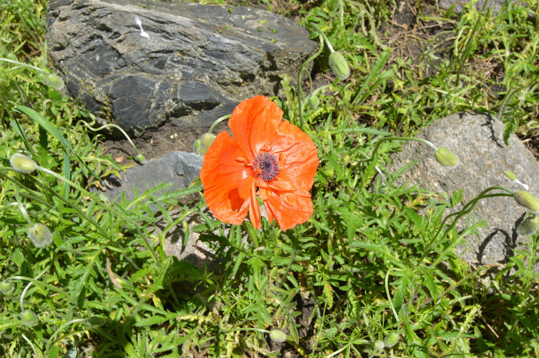 21469 452nd Avenue, Arlington, SD 57212