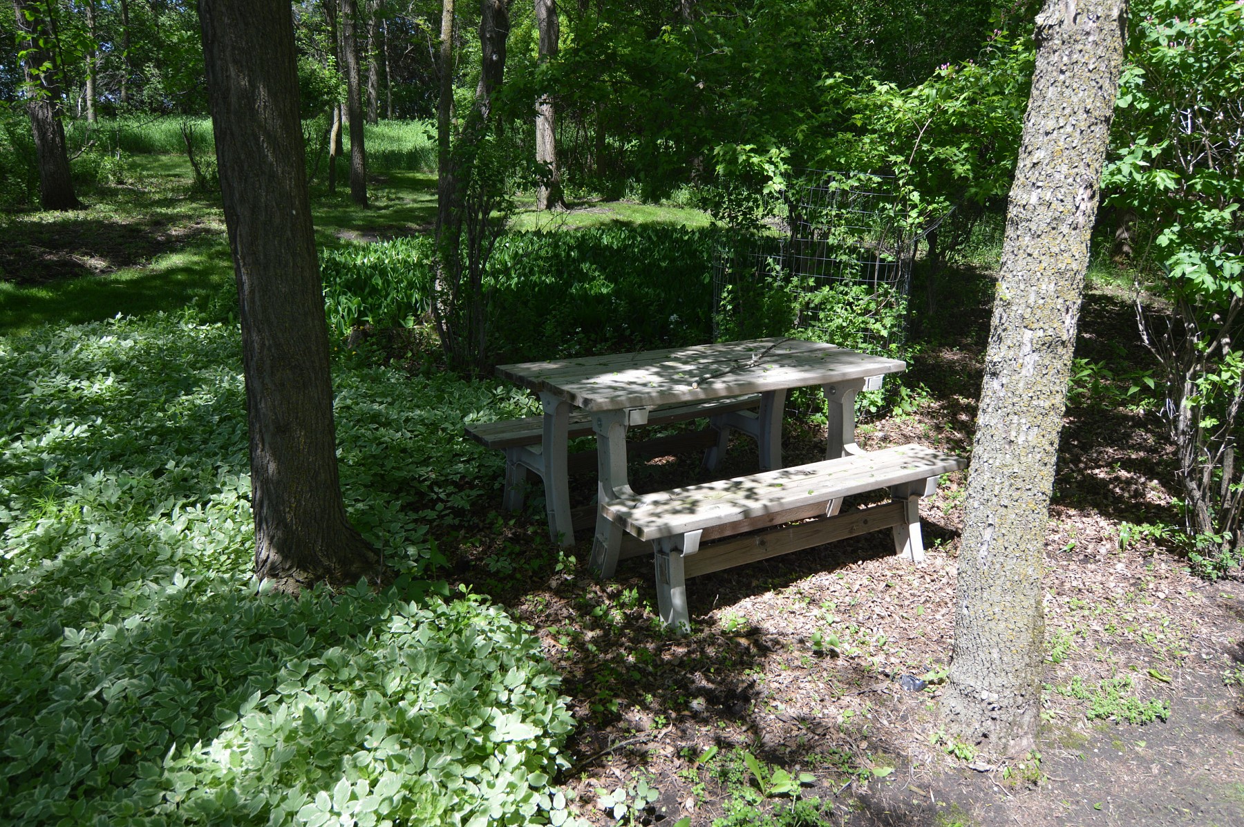 21469 452nd Avenue, Arlington, SD 57212