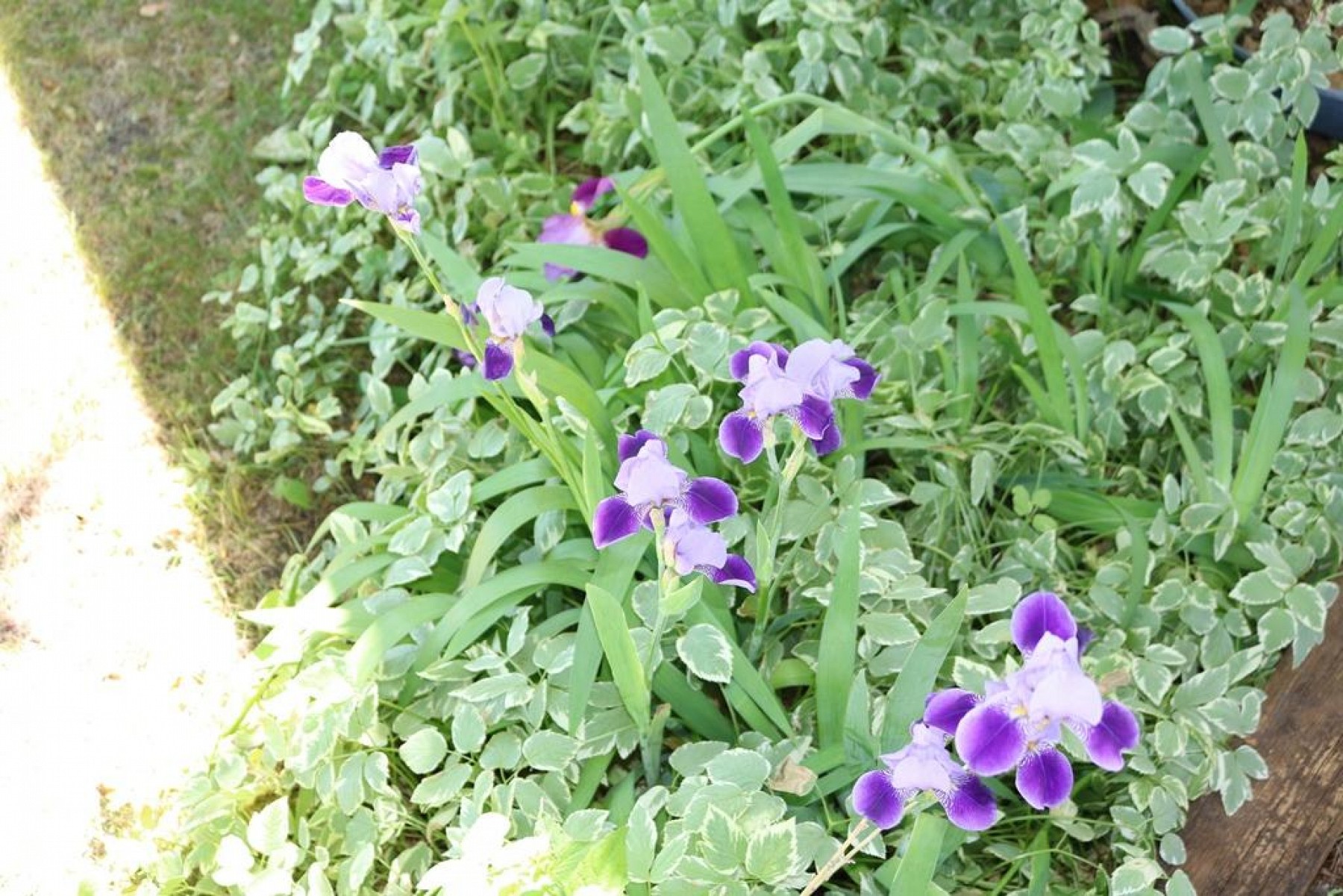 307 Davis Avenue E, Estelline, SD 57234