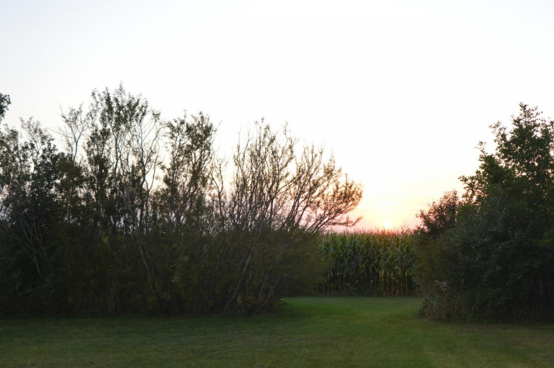 845 Dakota Street, Toronto, SD 57268