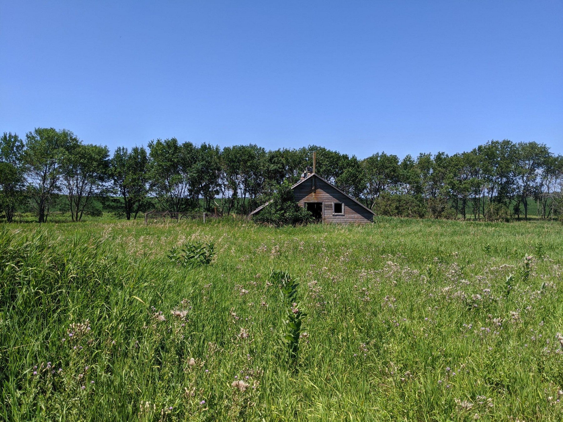 4.08 Acres Horsted-Pedersen, Arlington, SD 57212