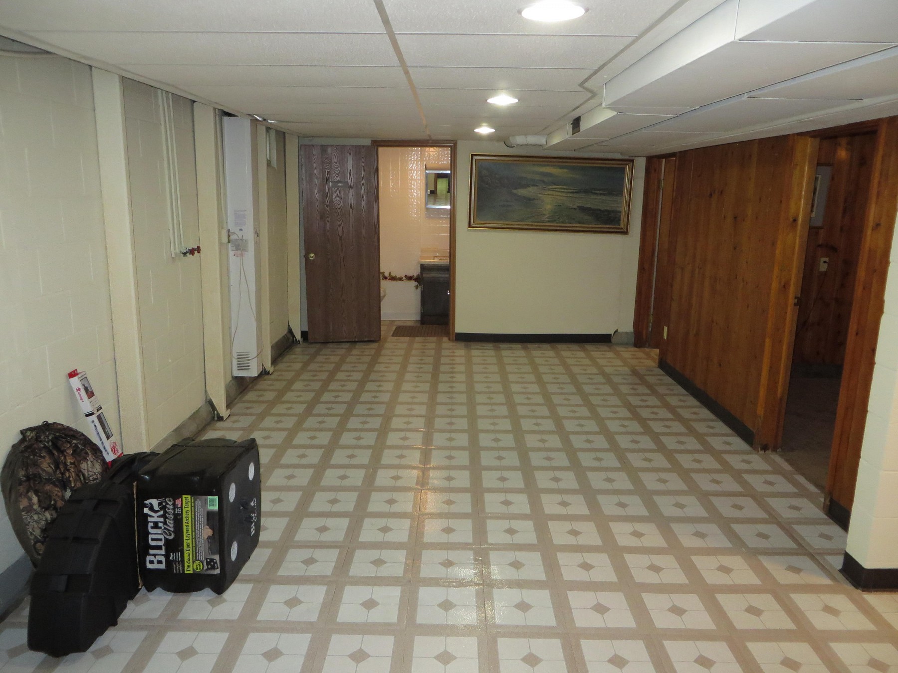 213 Park Avenue S, Lake Preston, SD 57249