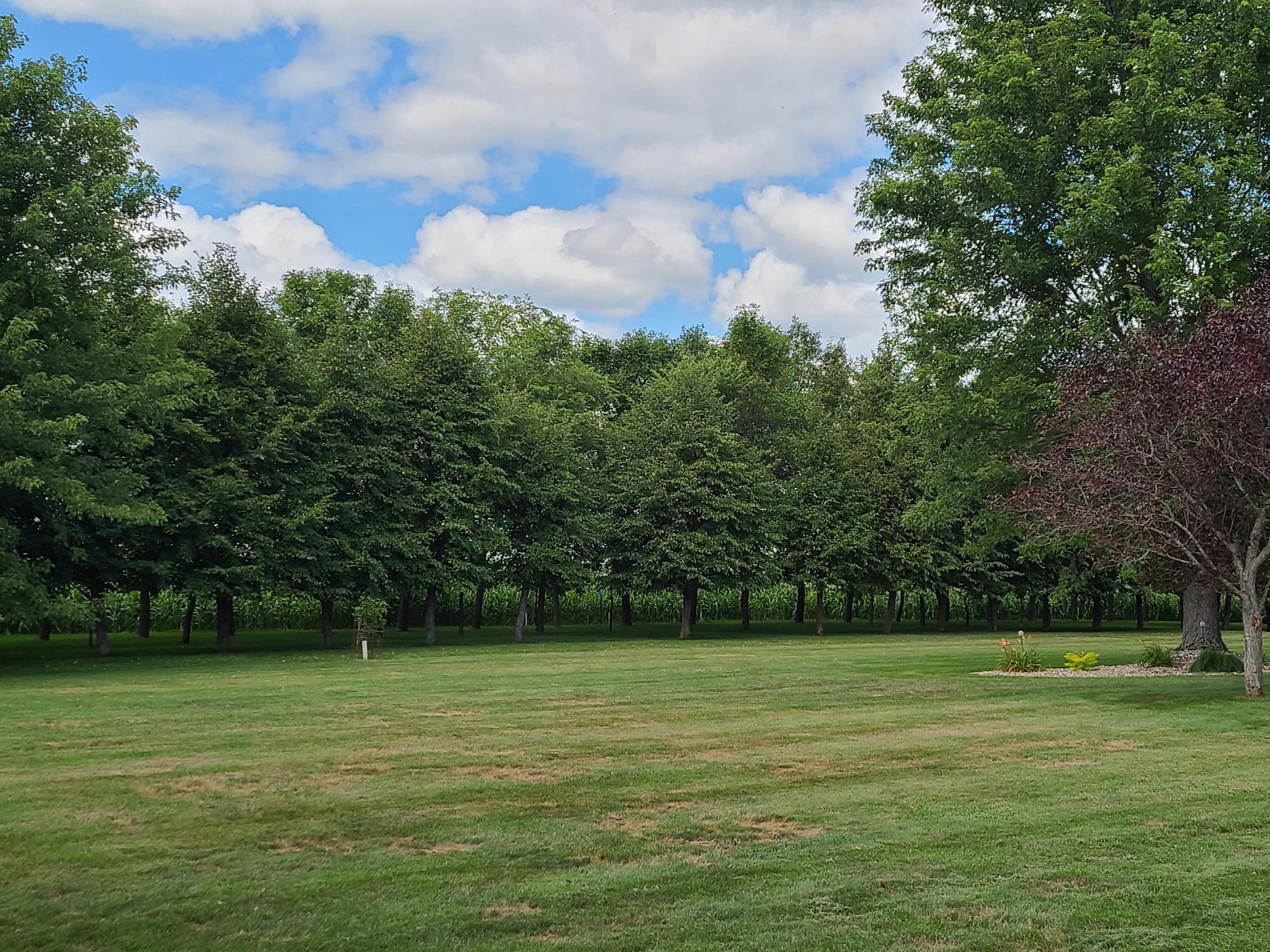 46440 209th Street, Volga, SD 57071