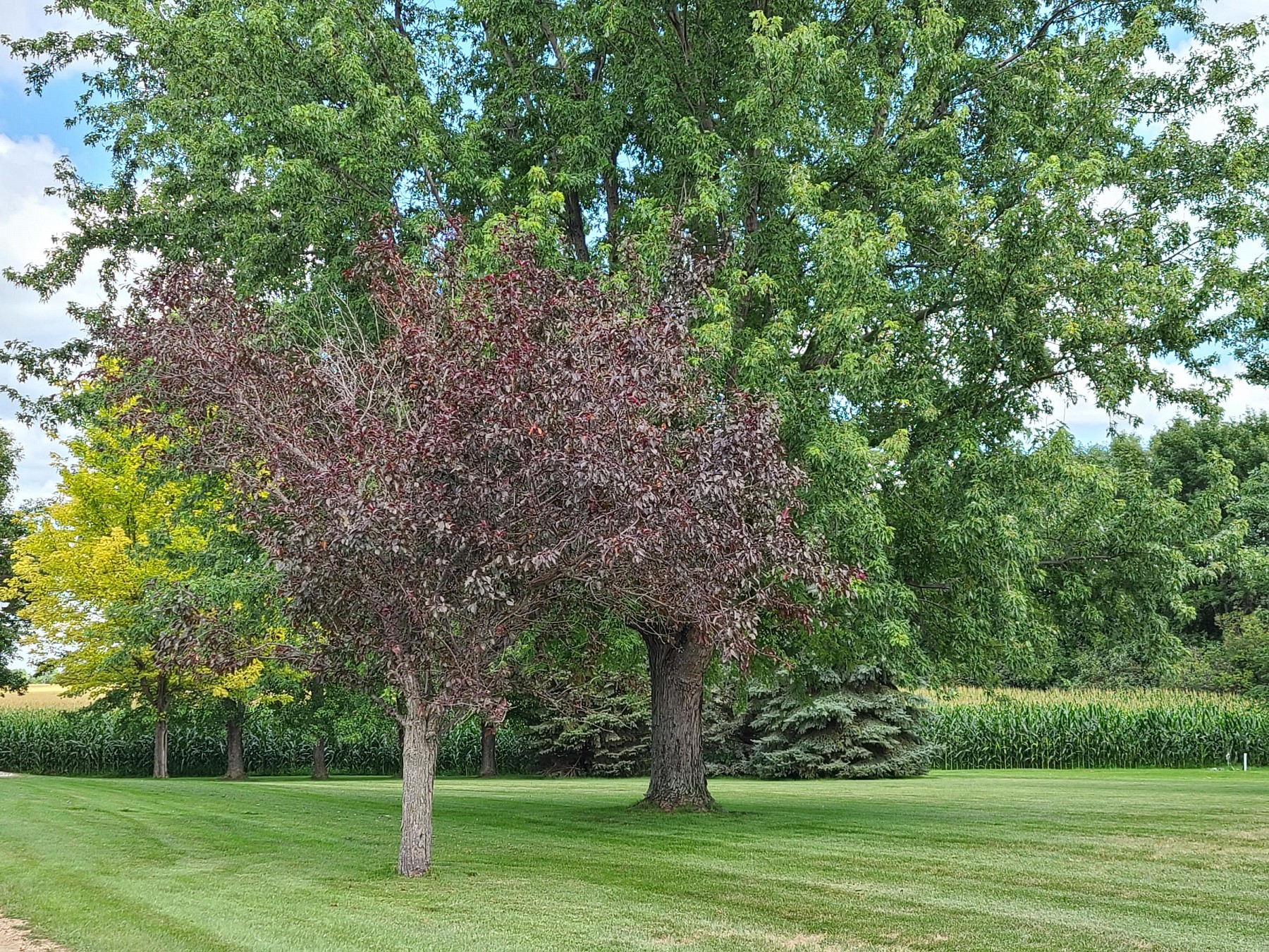 46440 209th Street, Volga, SD 57071