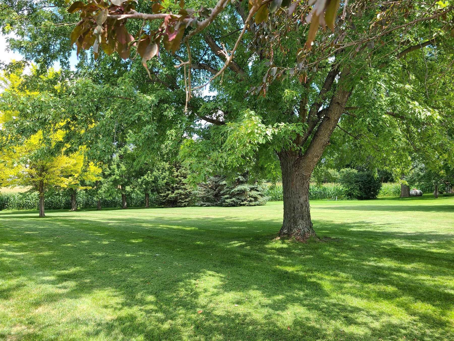 46440 209th Street, Volga, SD 57071