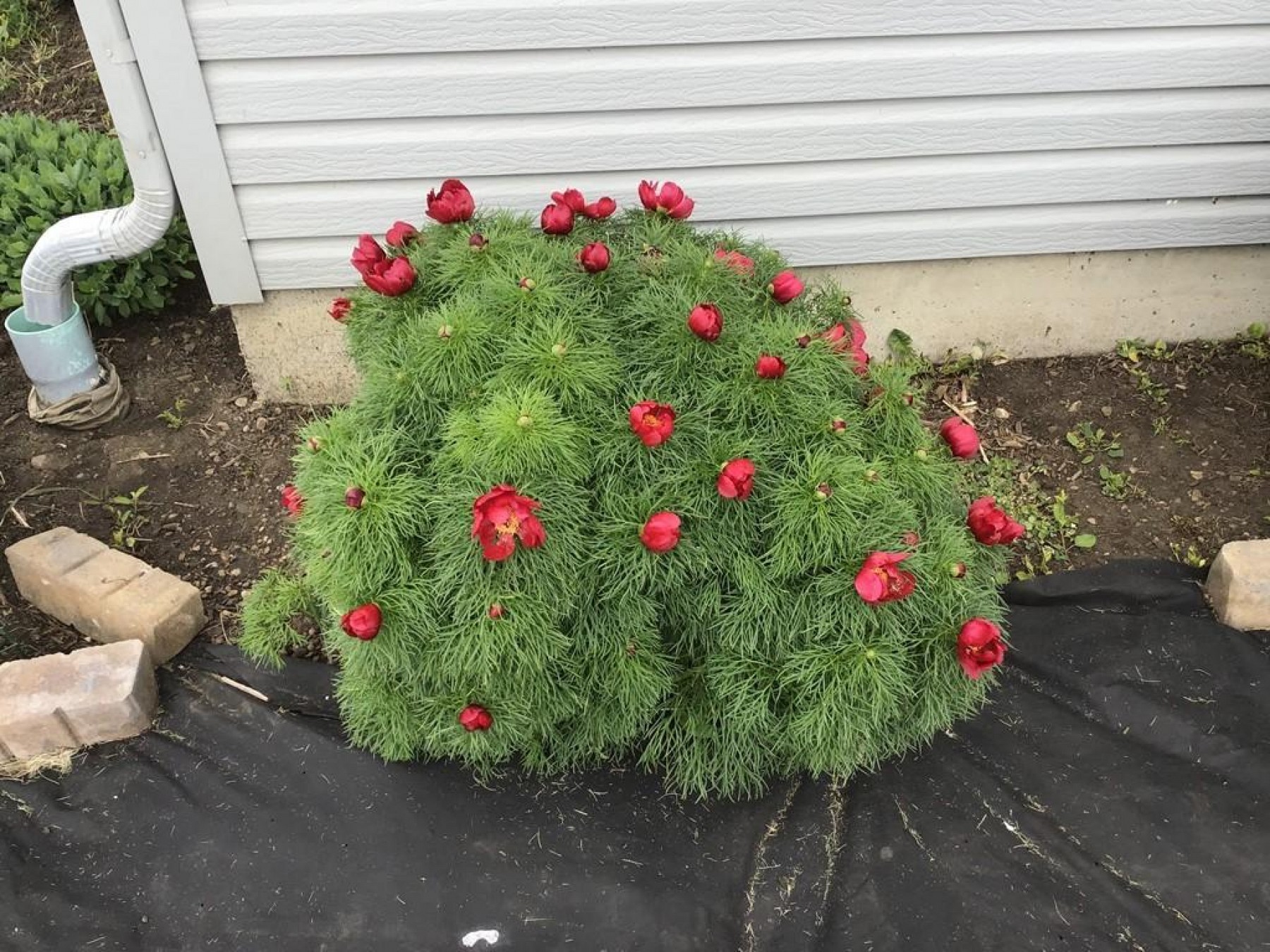 421 Quapaw Street, Iroquois, SD 57353