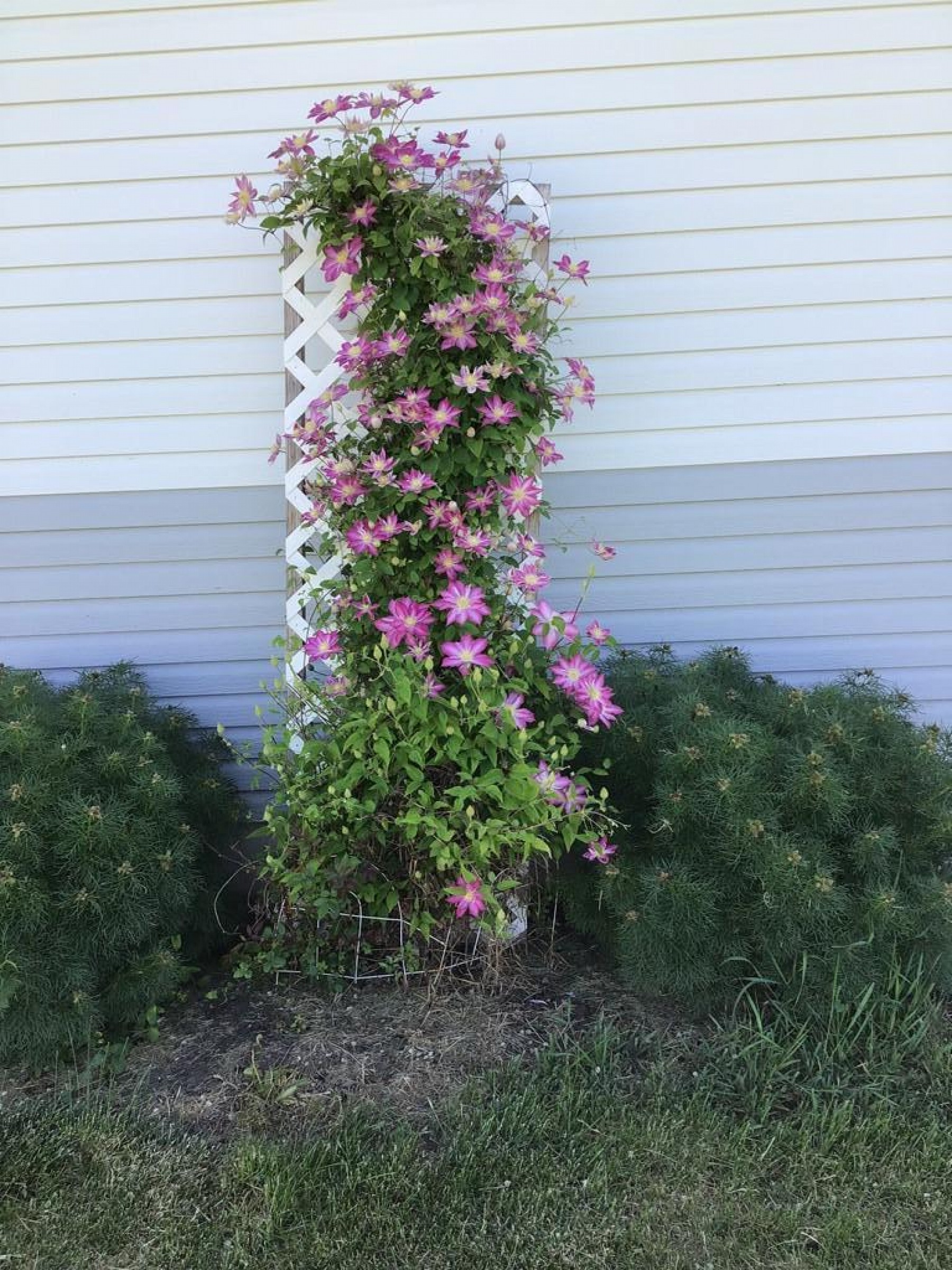 421 Quapaw Street, Iroquois, SD 57353