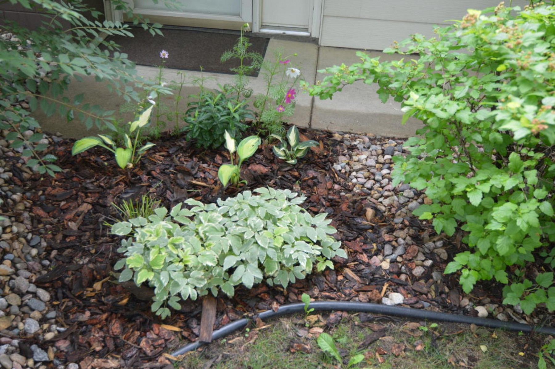 501 17th Avenue S, Brookings, SD 57006