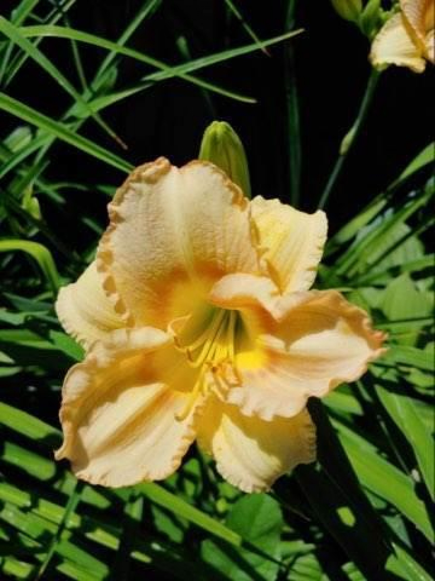 525 9th Avenue, Brookings, SD 57006