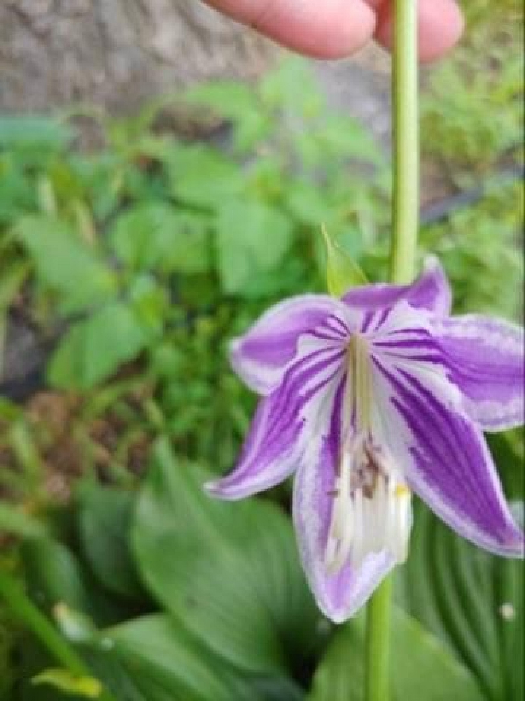 525 9th Avenue, Brookings, SD 57006