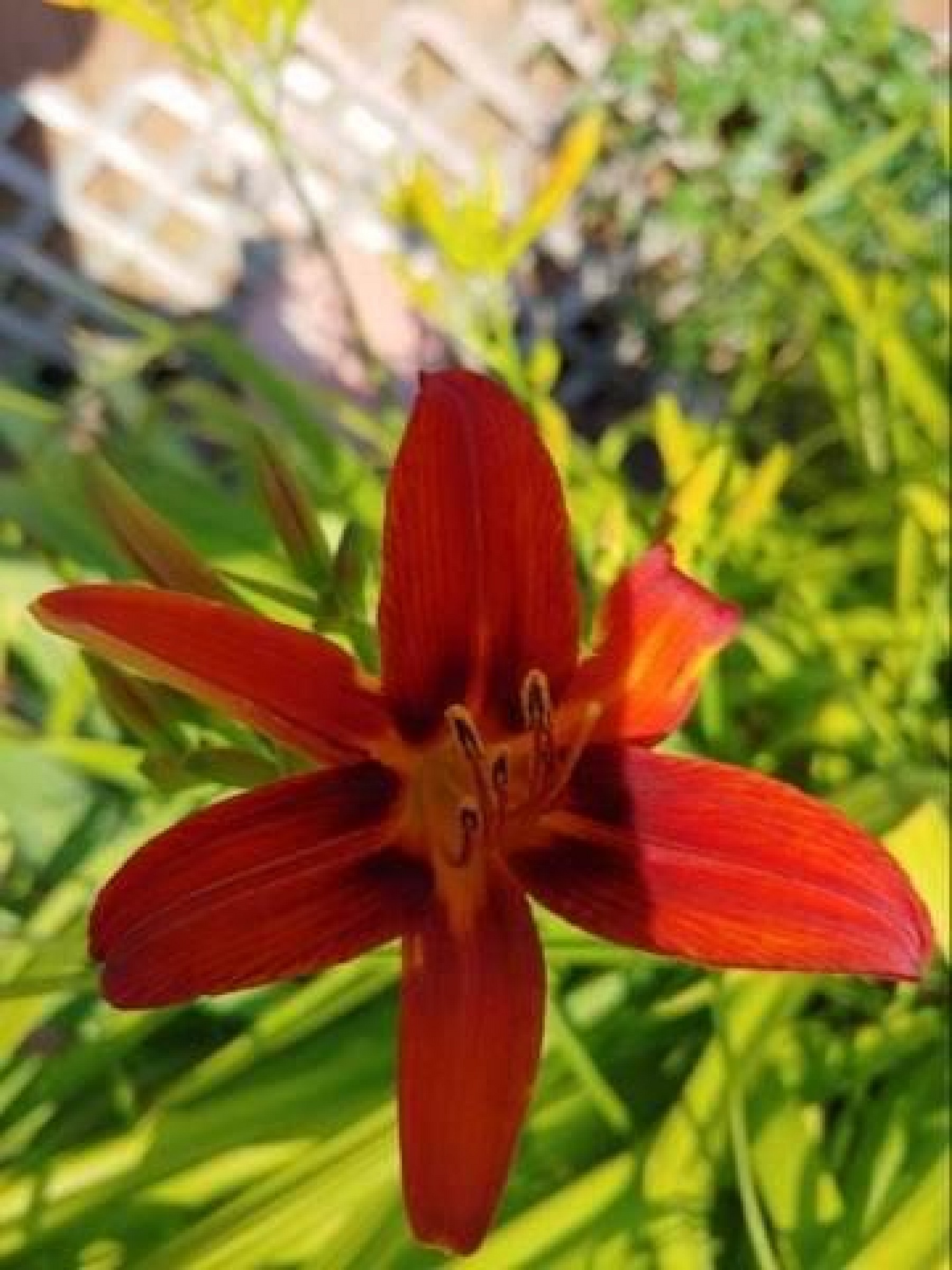 525 9th Avenue, Brookings, SD 57006