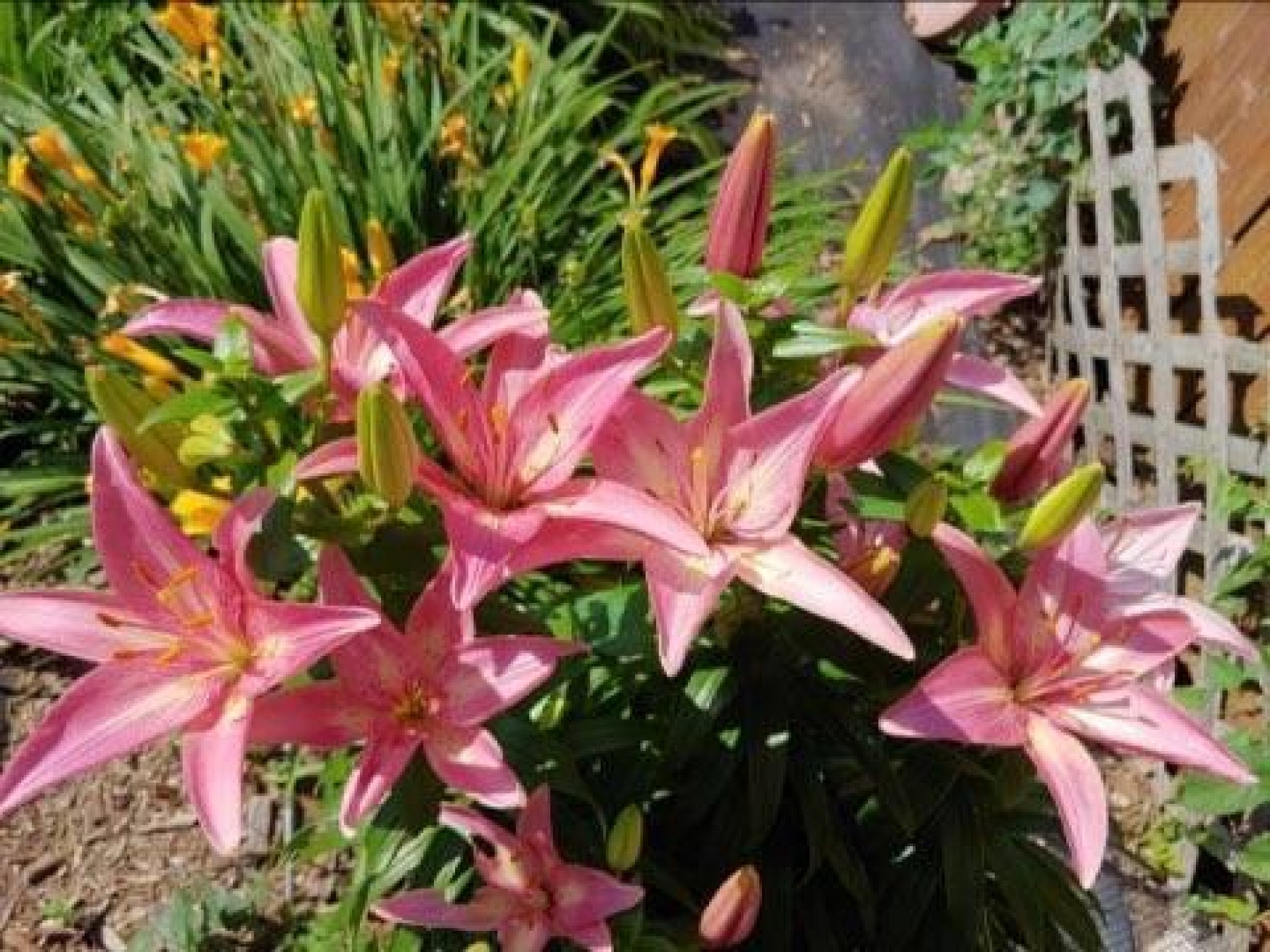 525 9th Avenue, Brookings, SD 57006