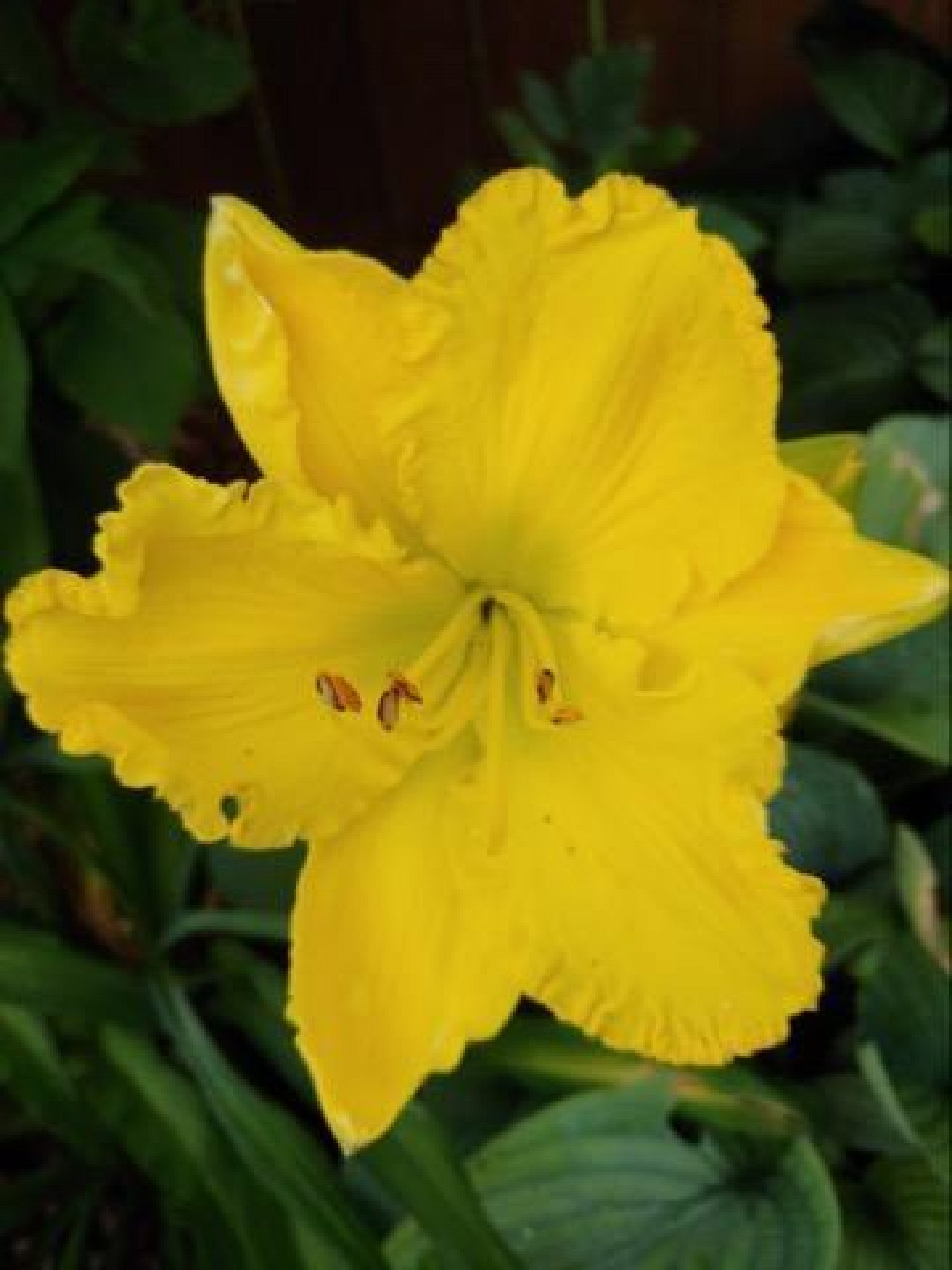 525 9th Avenue, Brookings, SD 57006