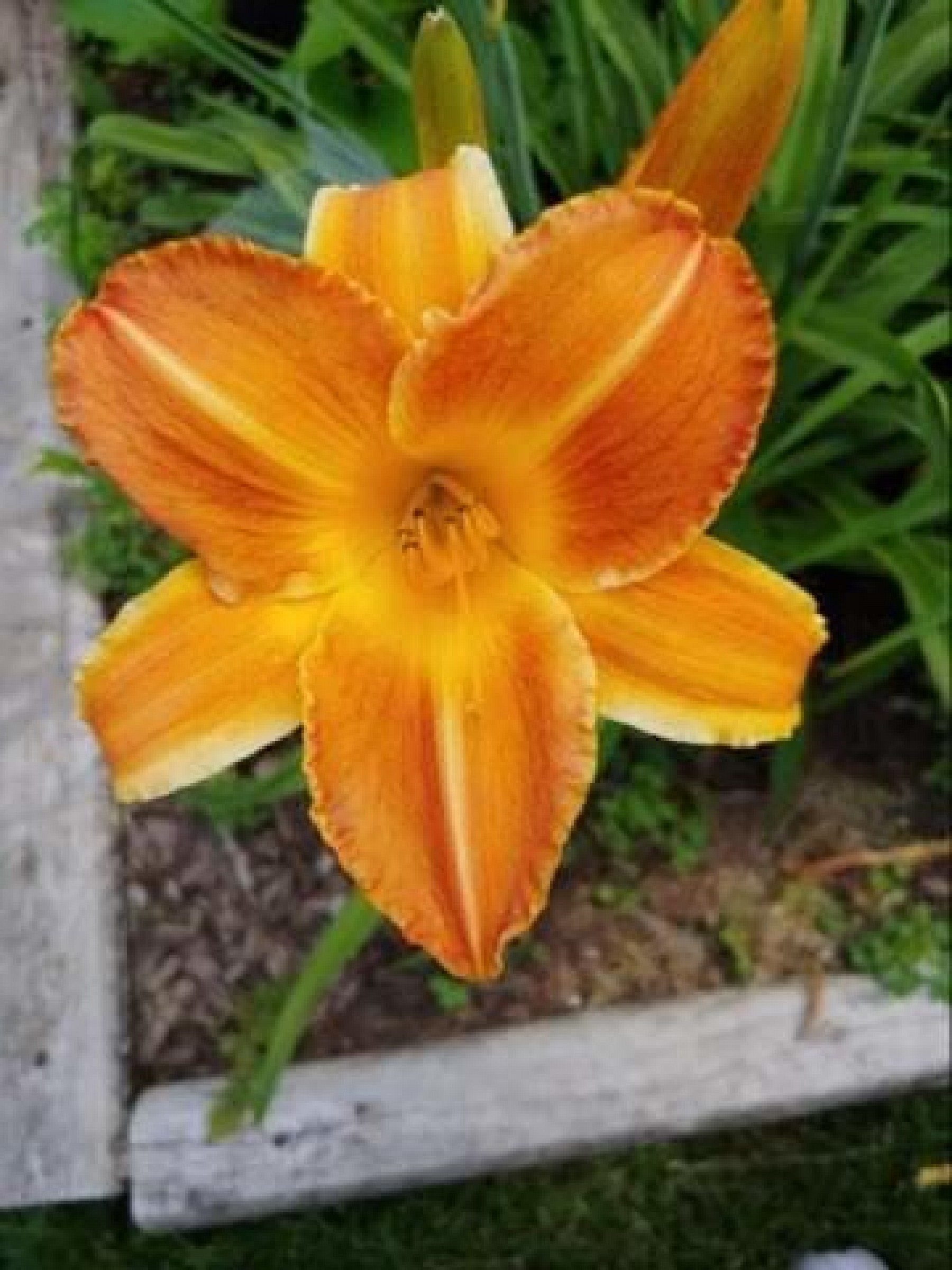 525 9th Avenue, Brookings, SD 57006