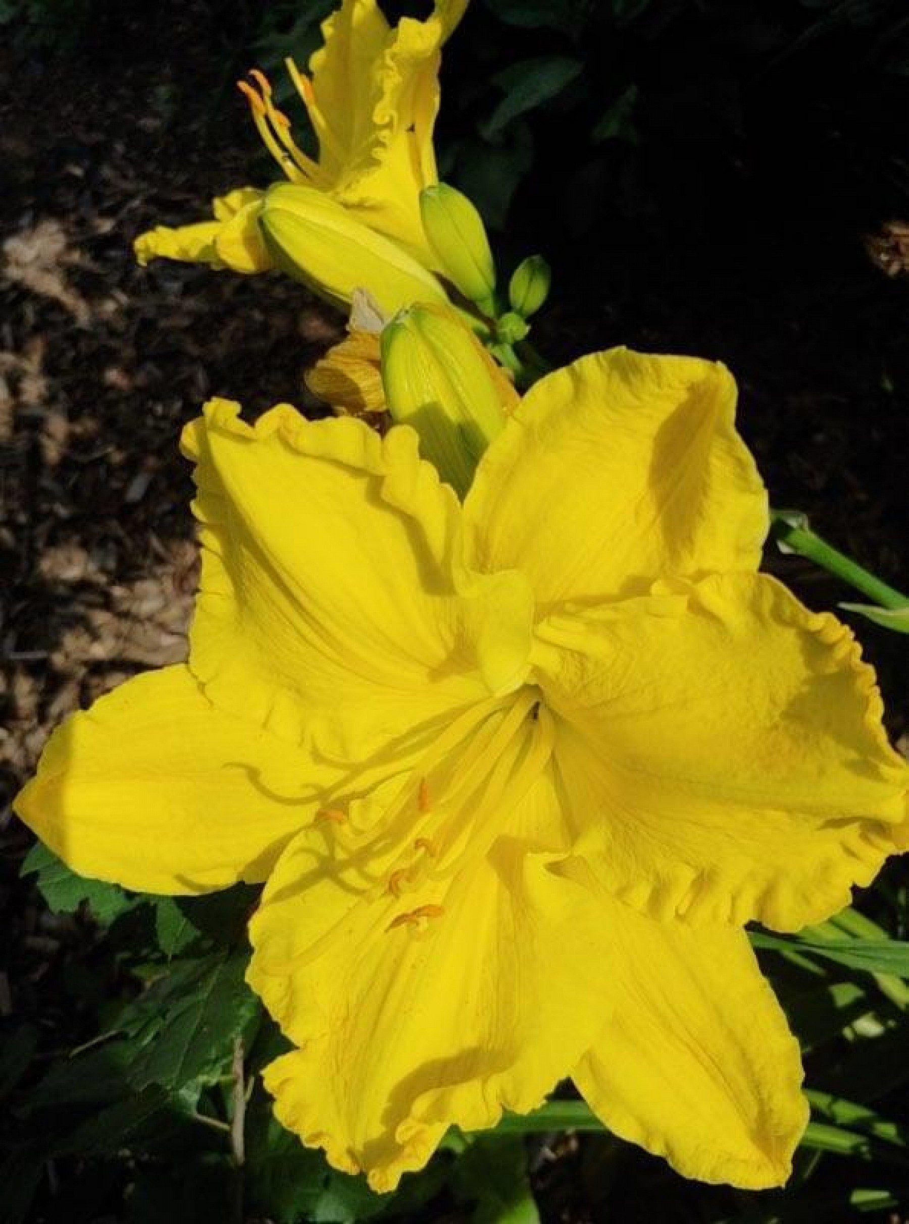 525 9th Avenue, Brookings, SD 57006