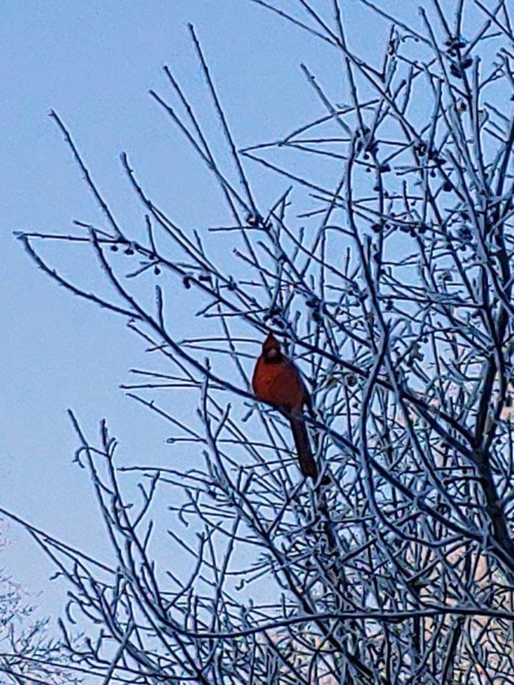 525 9th Avenue, Brookings, SD 57006