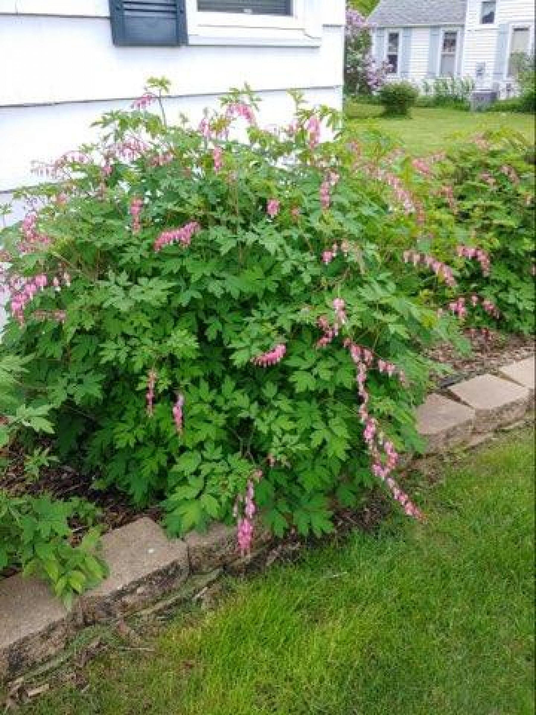 525 9th Avenue, Brookings, SD 57006