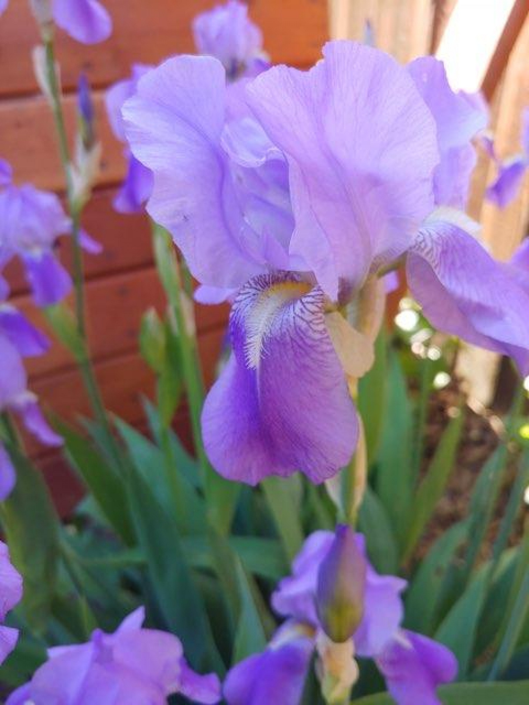 525 9th Avenue, Brookings, SD 57006