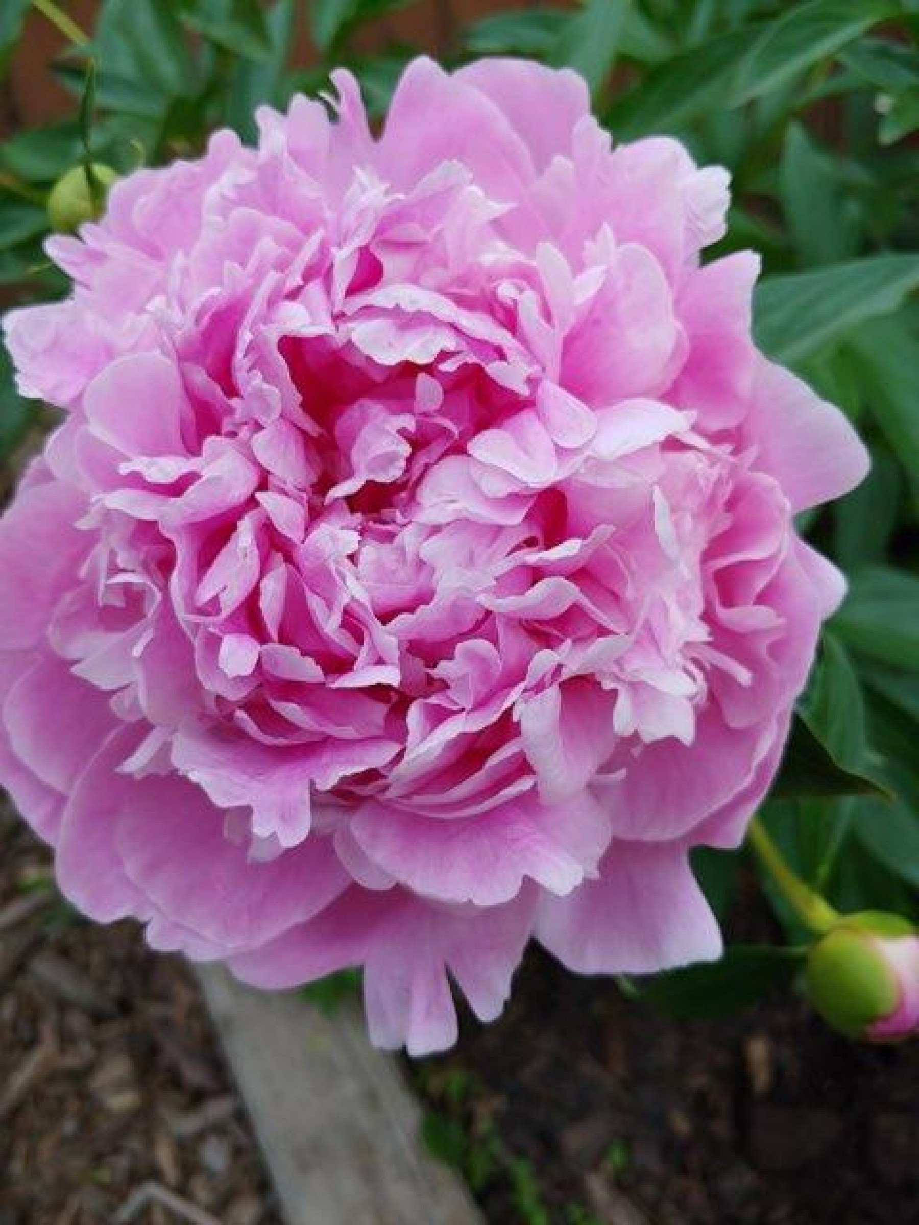 525 9th Avenue, Brookings, SD 57006