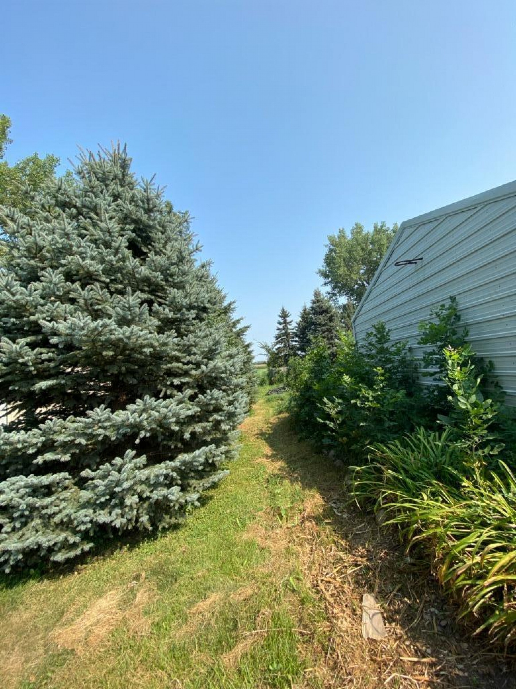 103 W North Drive, Elkton, SD 57026