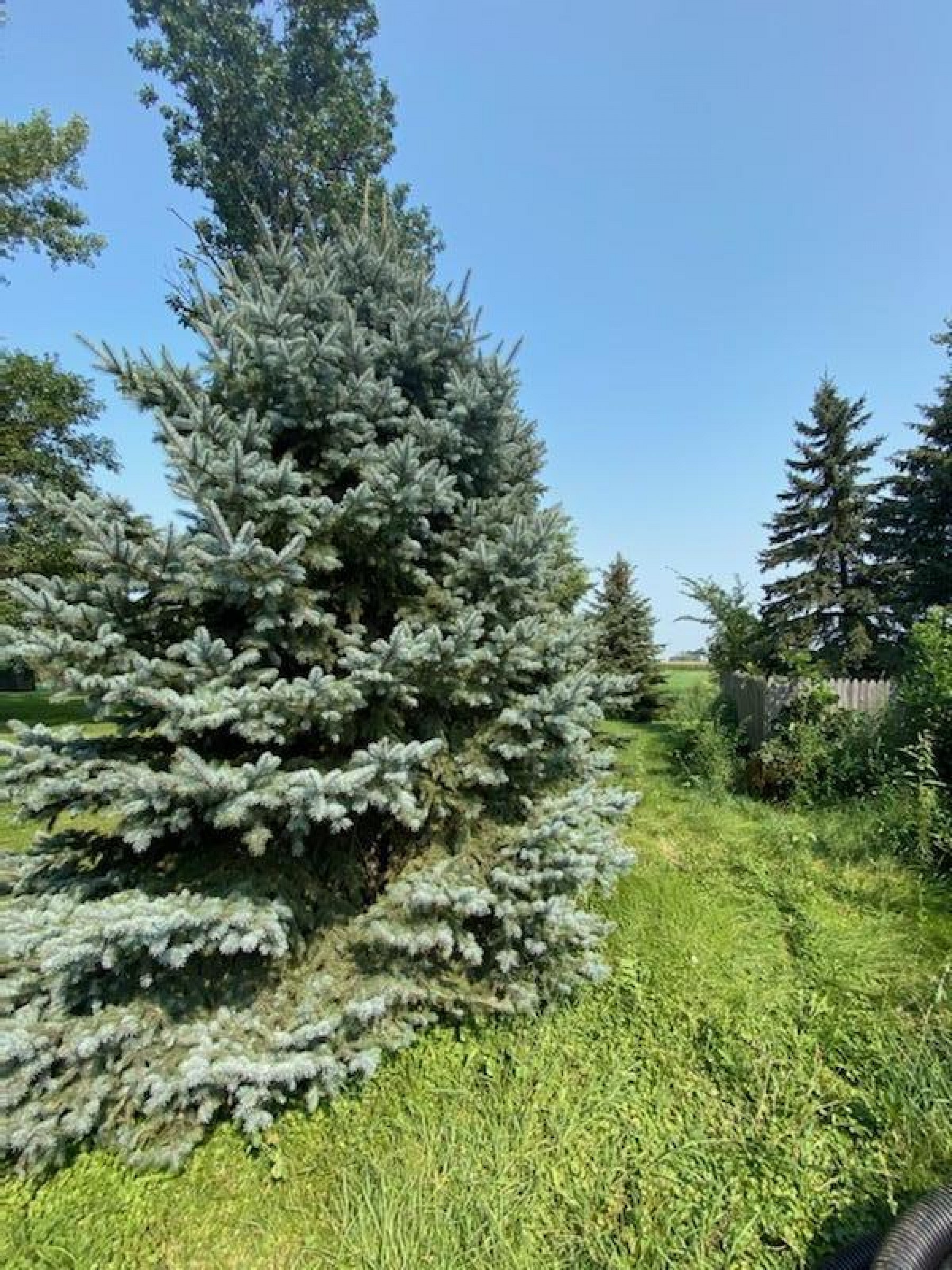 103 W North Drive, Elkton, SD 57026