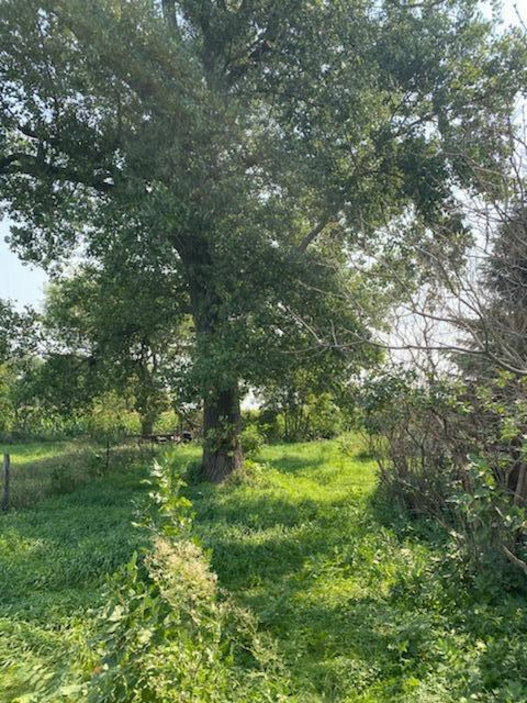 103 W North Drive, Elkton, SD 57026