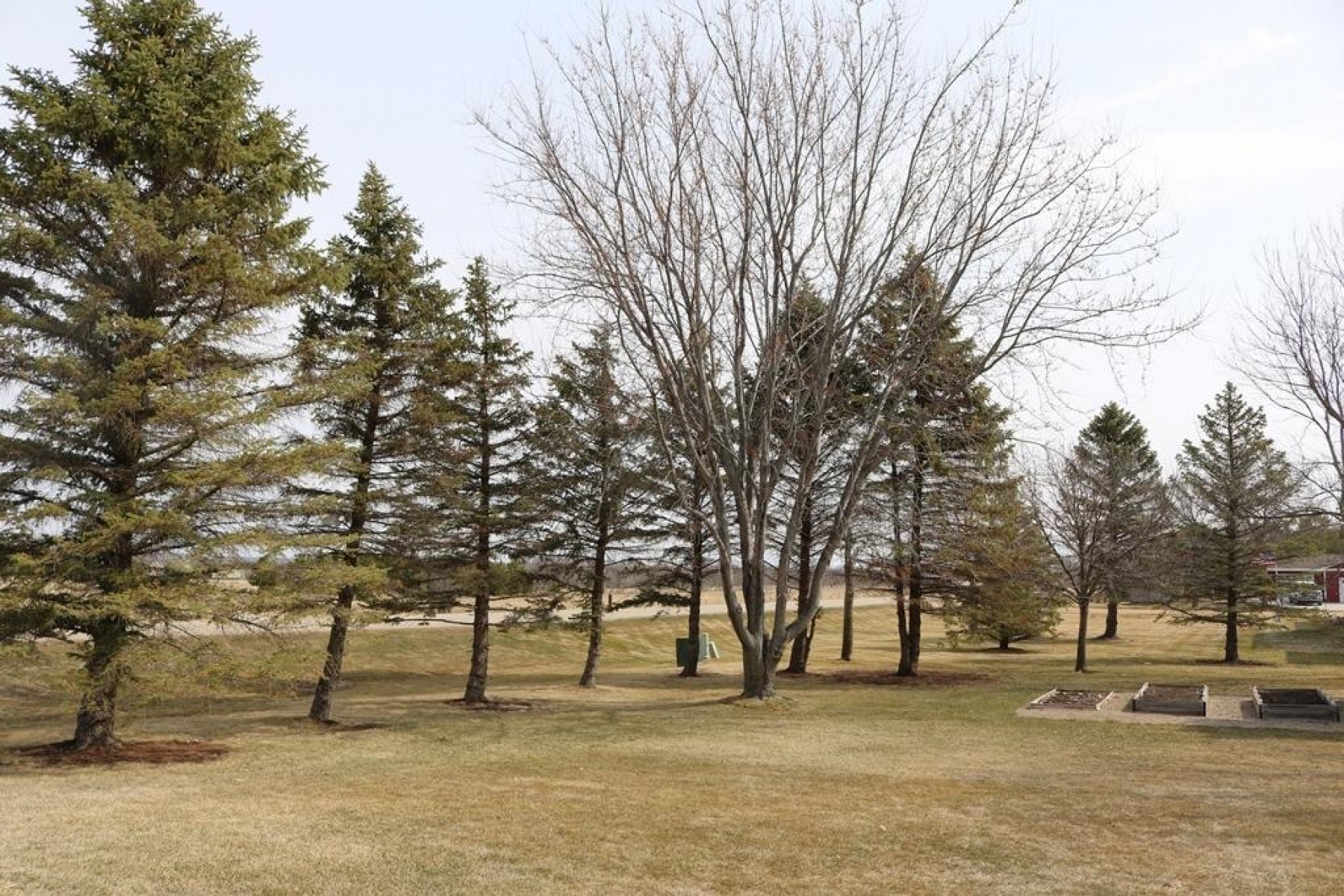 3203 Pine Avenue, Brookings, SD 57006