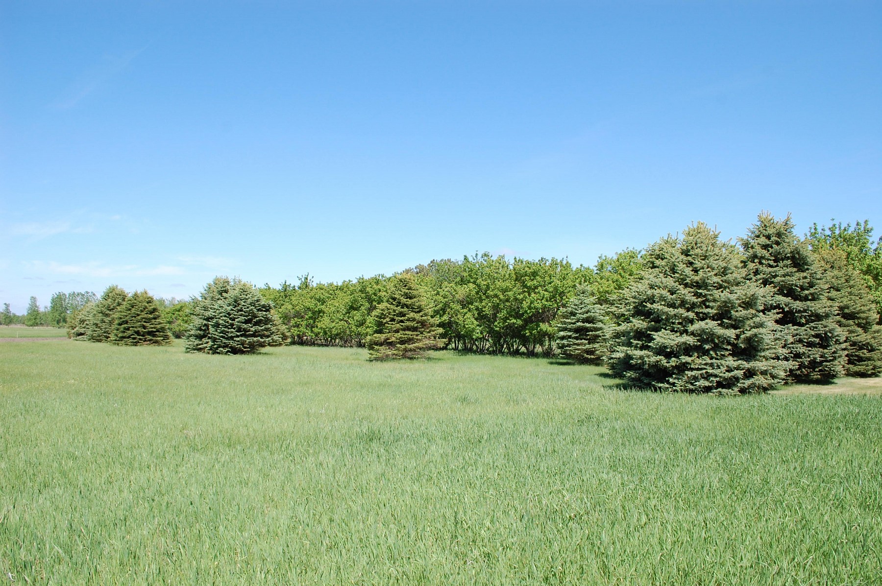 1115 20th Street S, Brookings, SD 57006