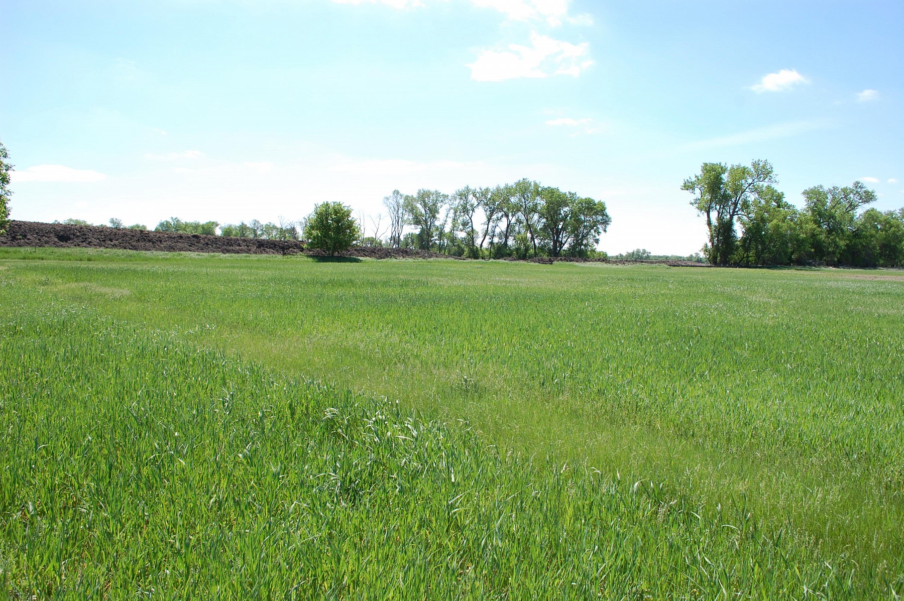 1115 20th Street S, Brookings, SD 57006