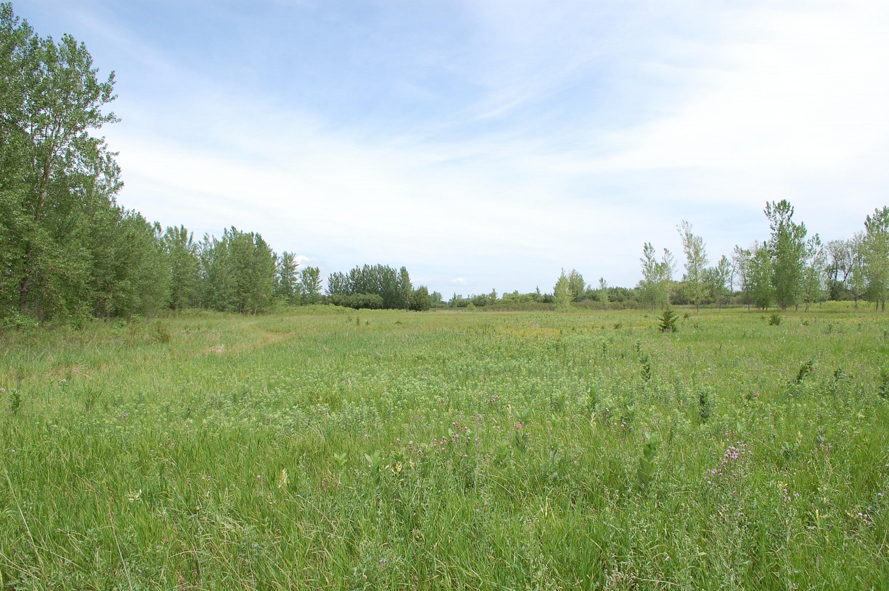 3-109-50 TBD, Brookings, SD 57006