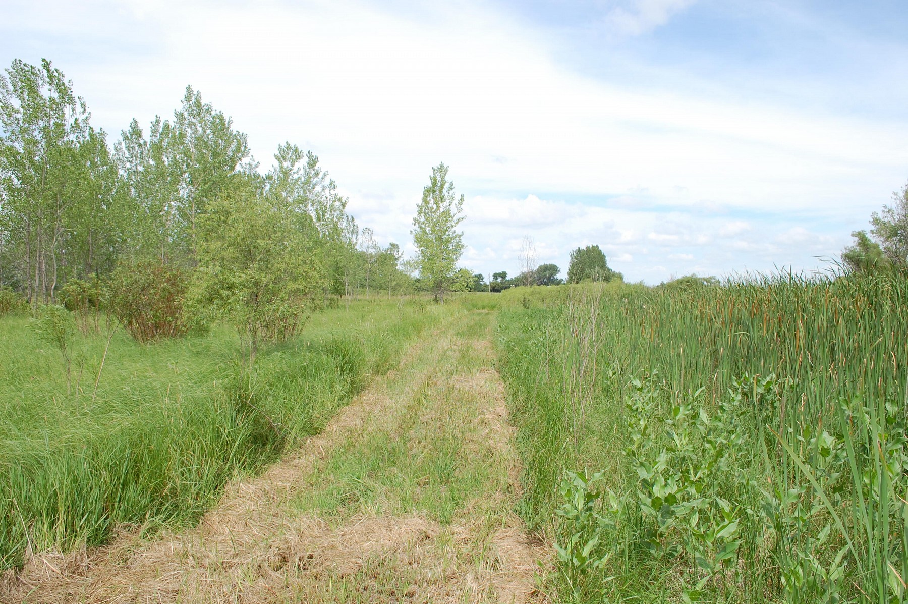 3-109-50 TBD, Brookings, SD 57006