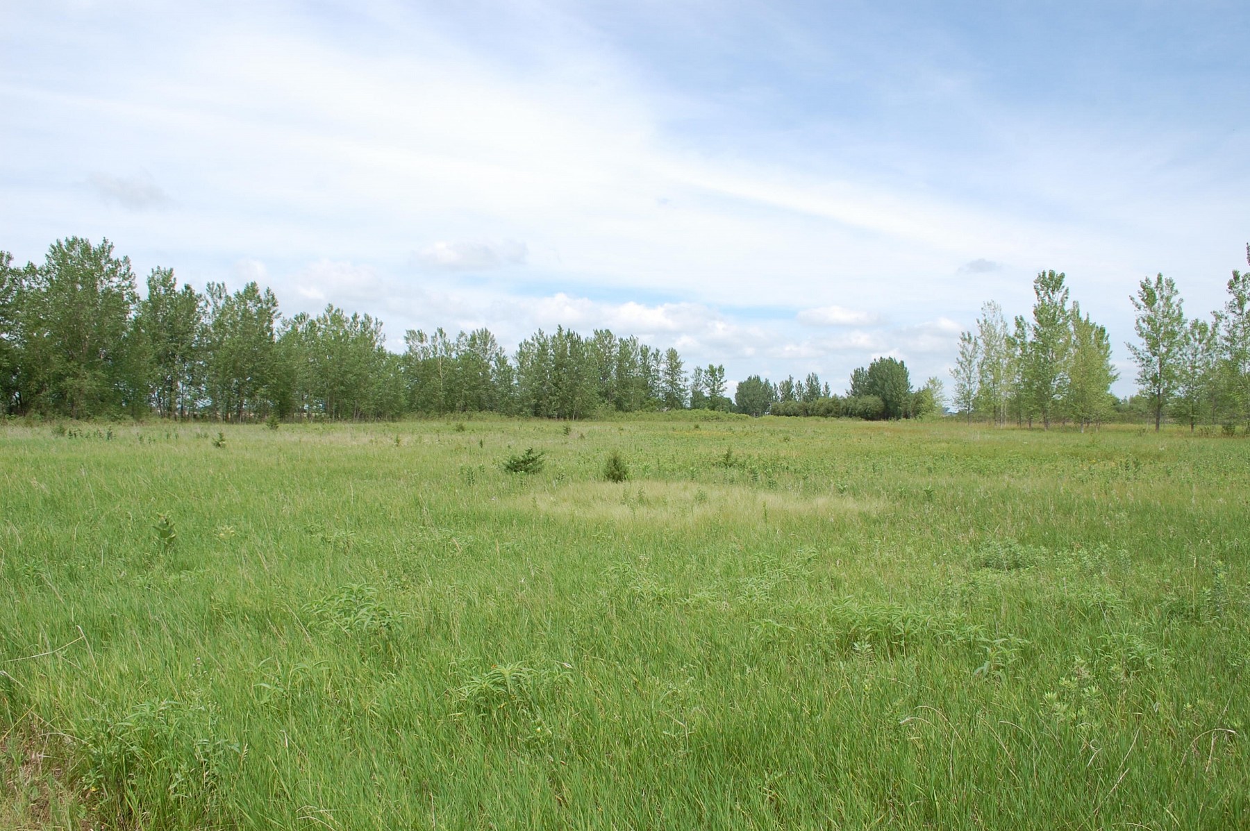 3-109-50 TBD, Brookings, SD 57006