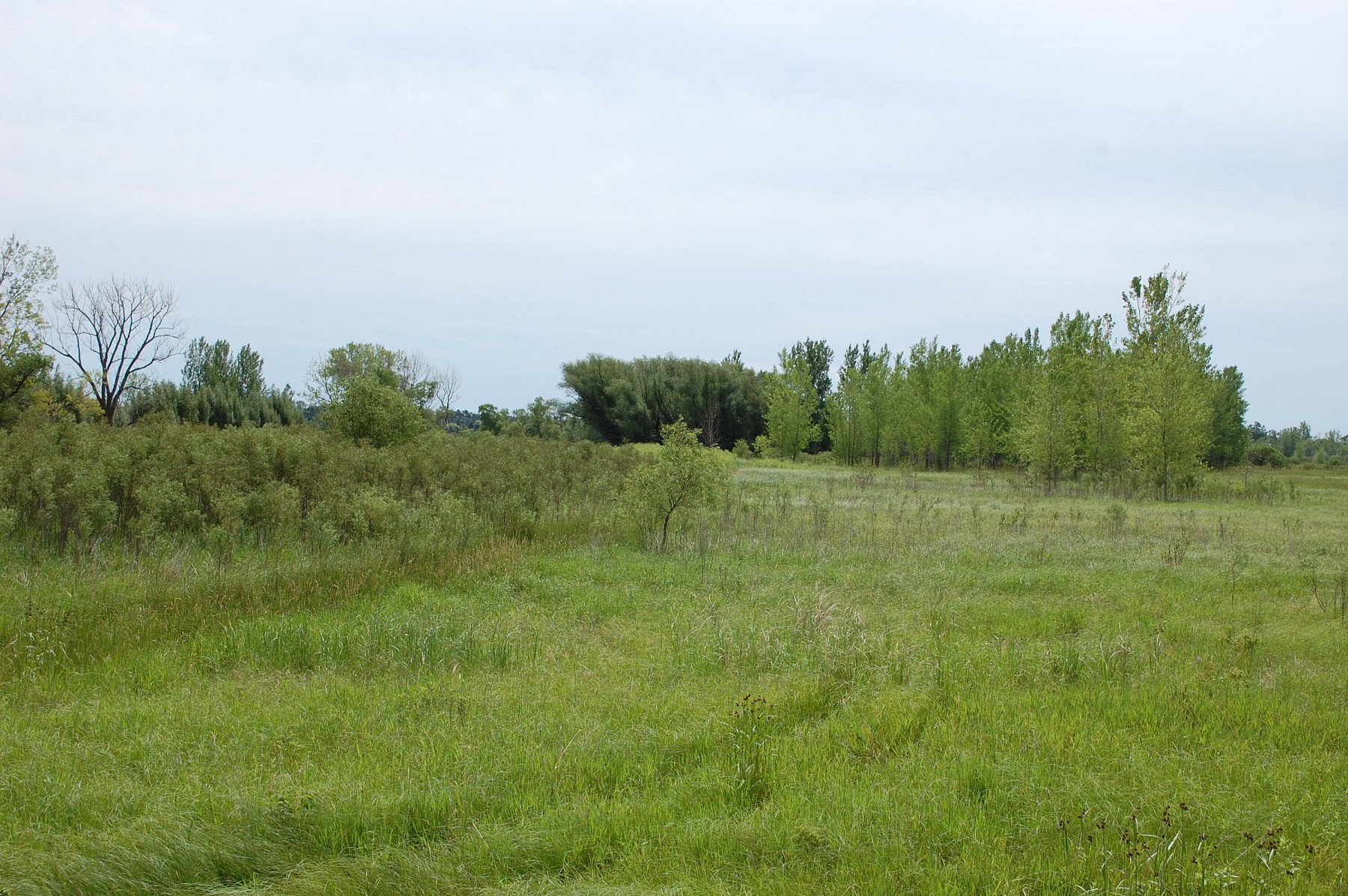 3-109-50 TBD, Brookings, SD 57006