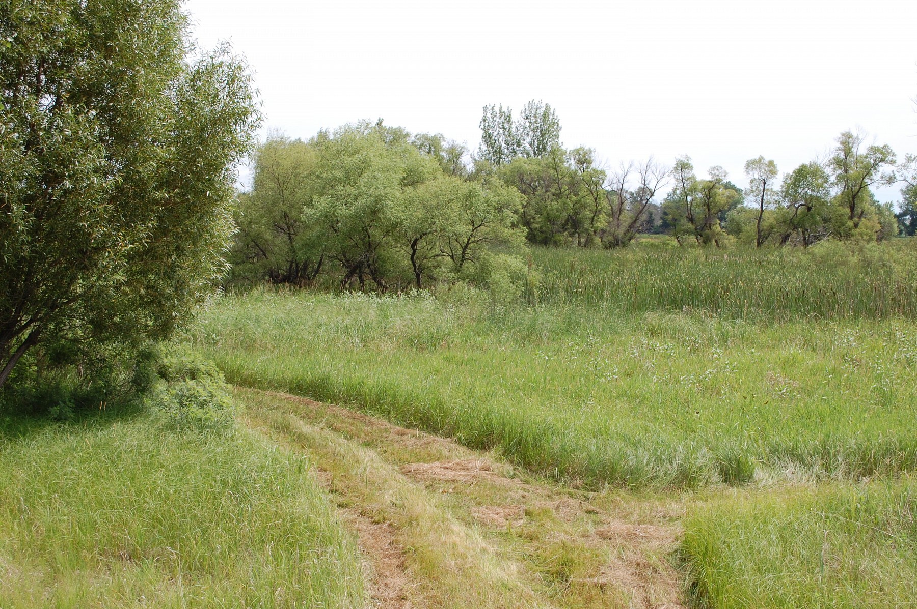 3-109-50 TBD, Brookings, SD 57006