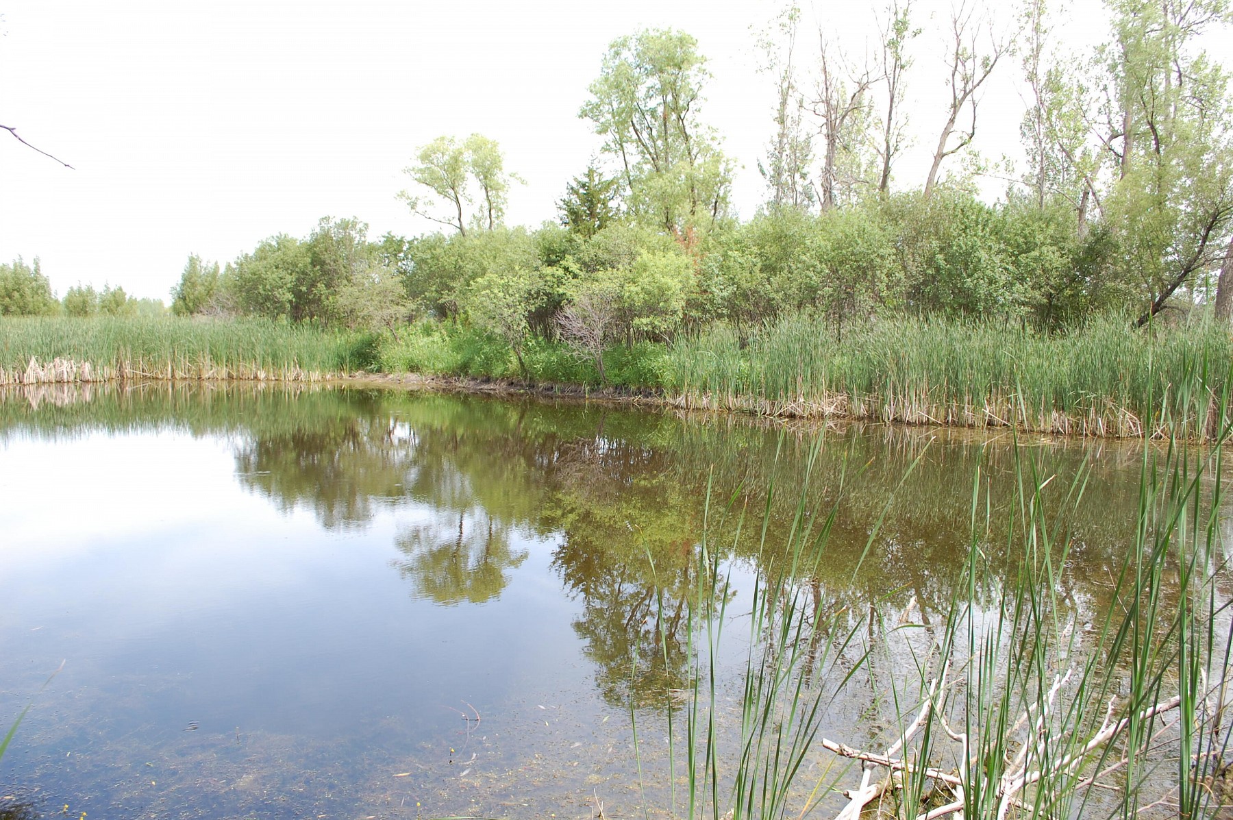 3-109-50 TBD, Brookings, SD 57006