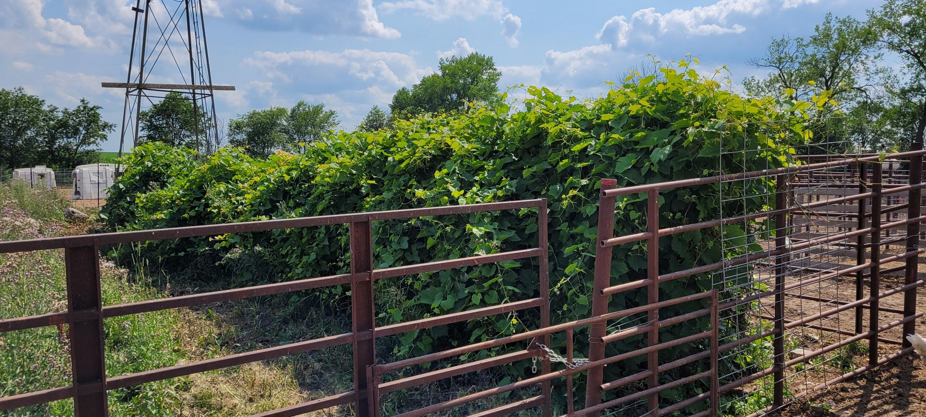 47221 225th Street, Flandreau, SD 57028