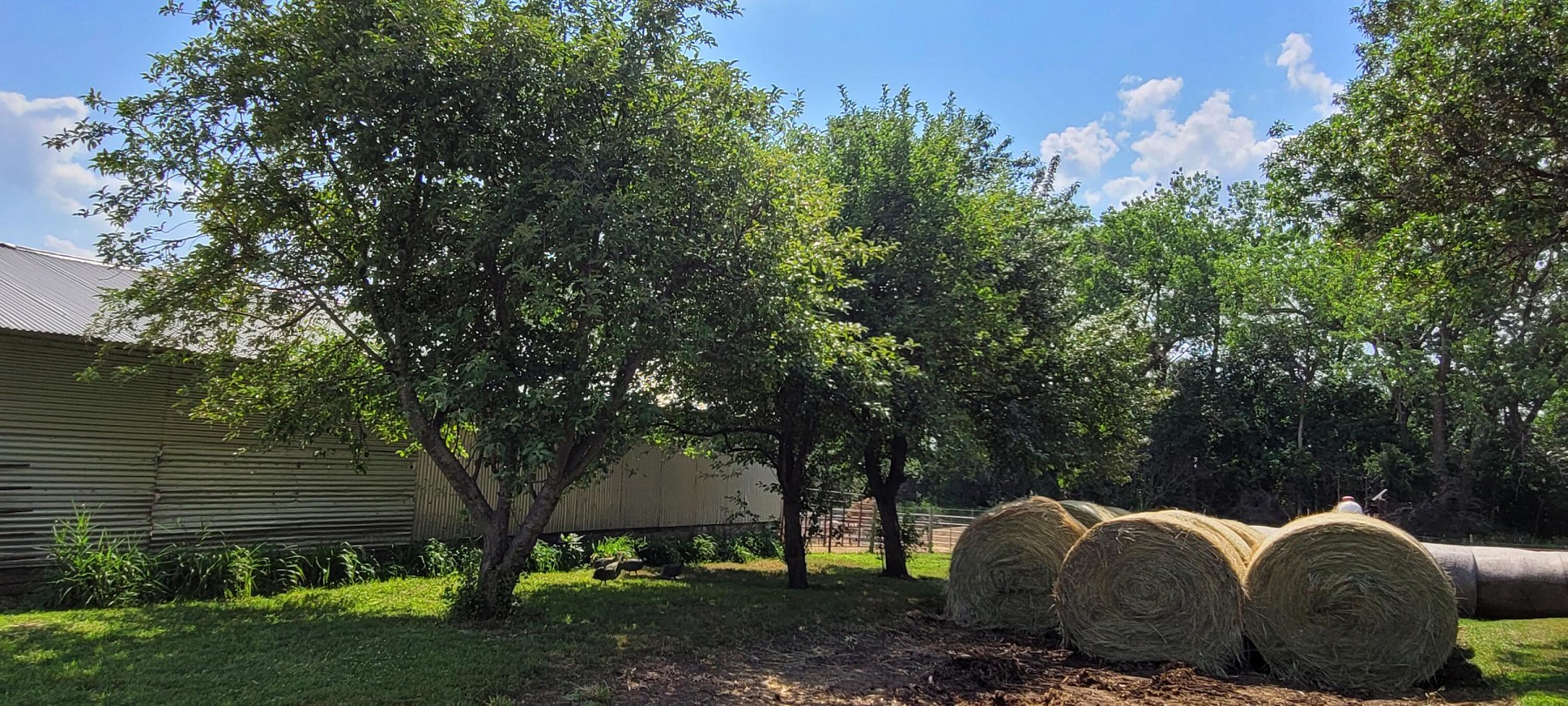 47221 225th Street, Flandreau, SD 57028