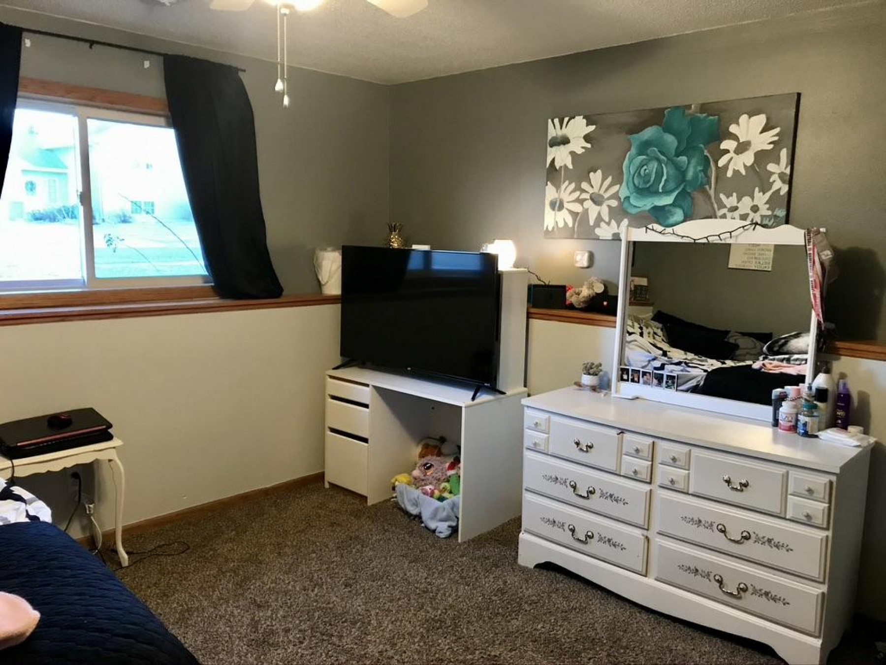 1602 17th Avenue S, Brookings, SD 57006