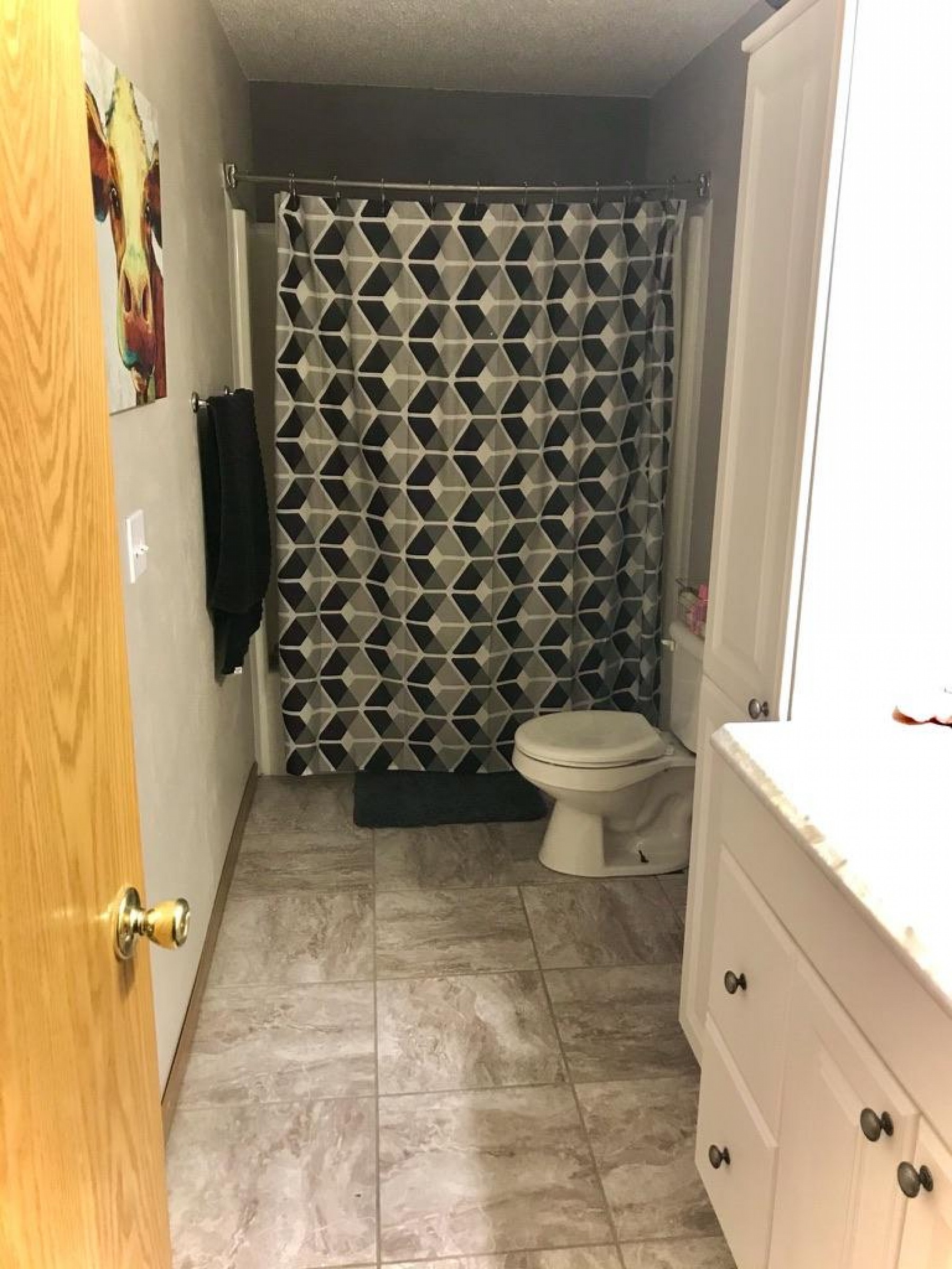 1602 17th Avenue S, Brookings, SD 57006