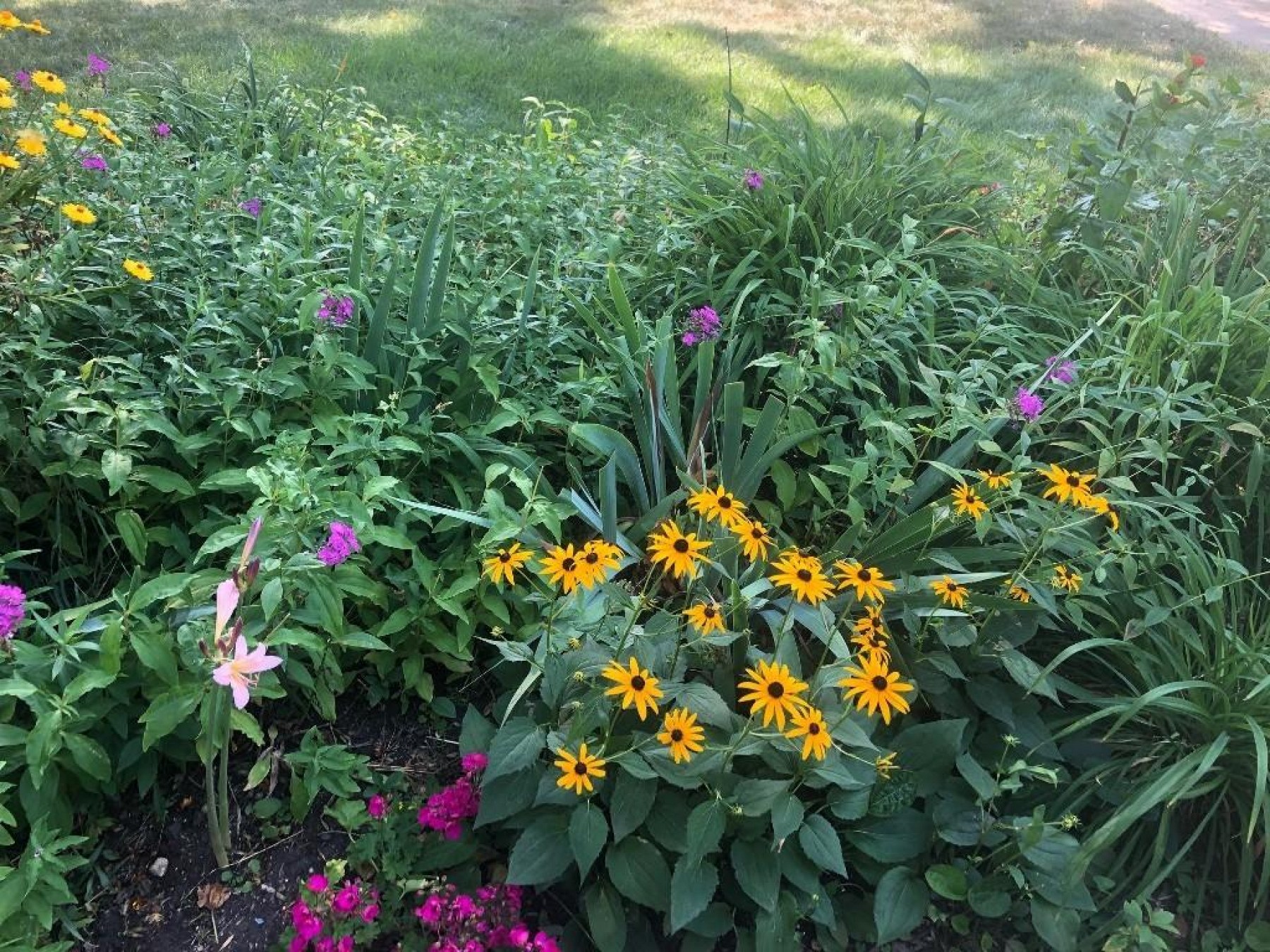 345 Eastern Avenue S, Brookings, SD 57006