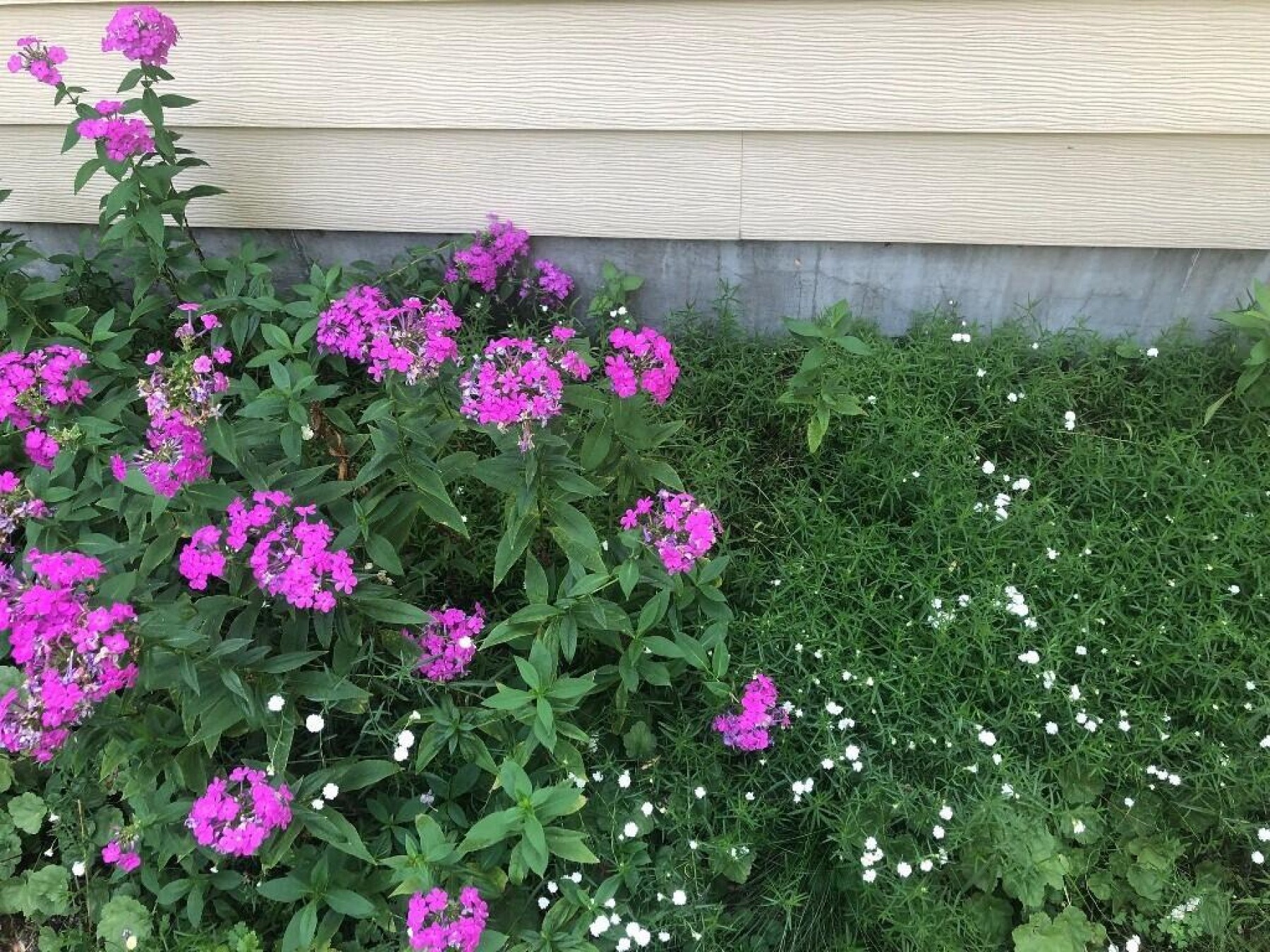 345 Eastern Avenue S, Brookings, SD 57006