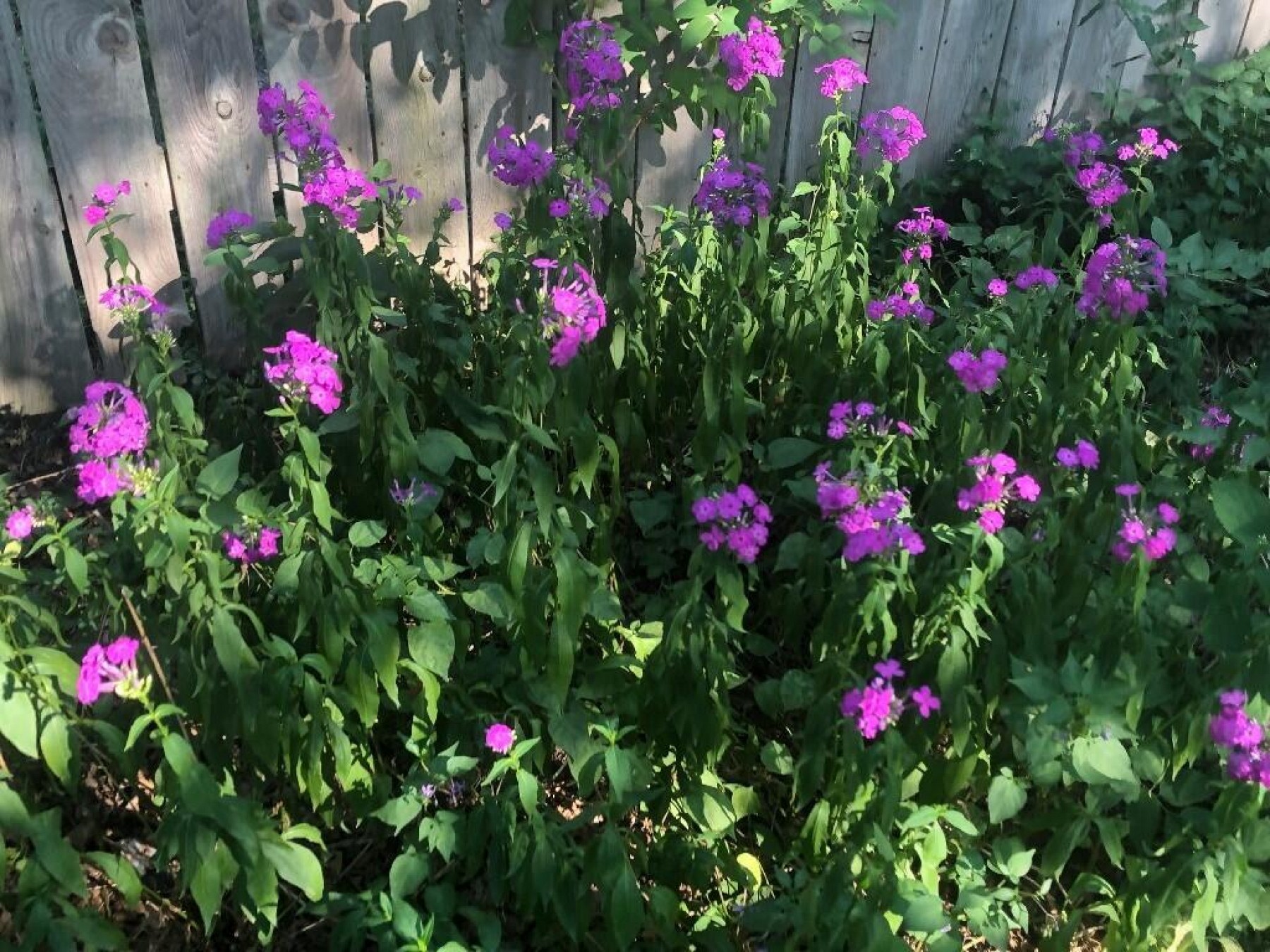 345 Eastern Avenue S, Brookings, SD 57006