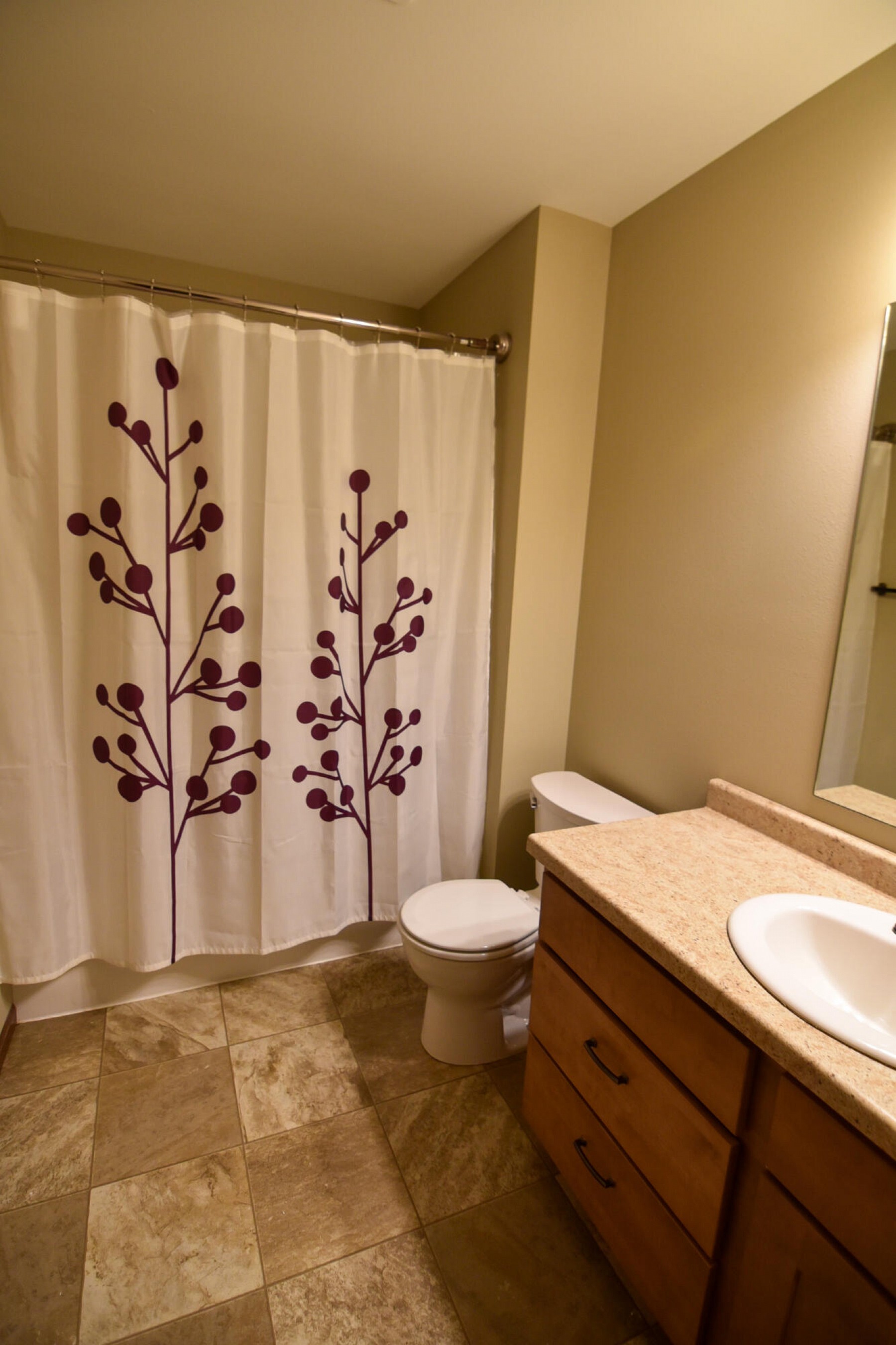 2505 Larkspur Ridge Drive, Brookings, SD 57006