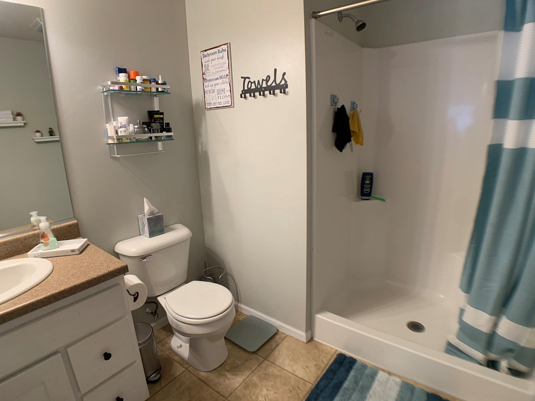 716 Sun Valley Street, Brookings, SD 57006