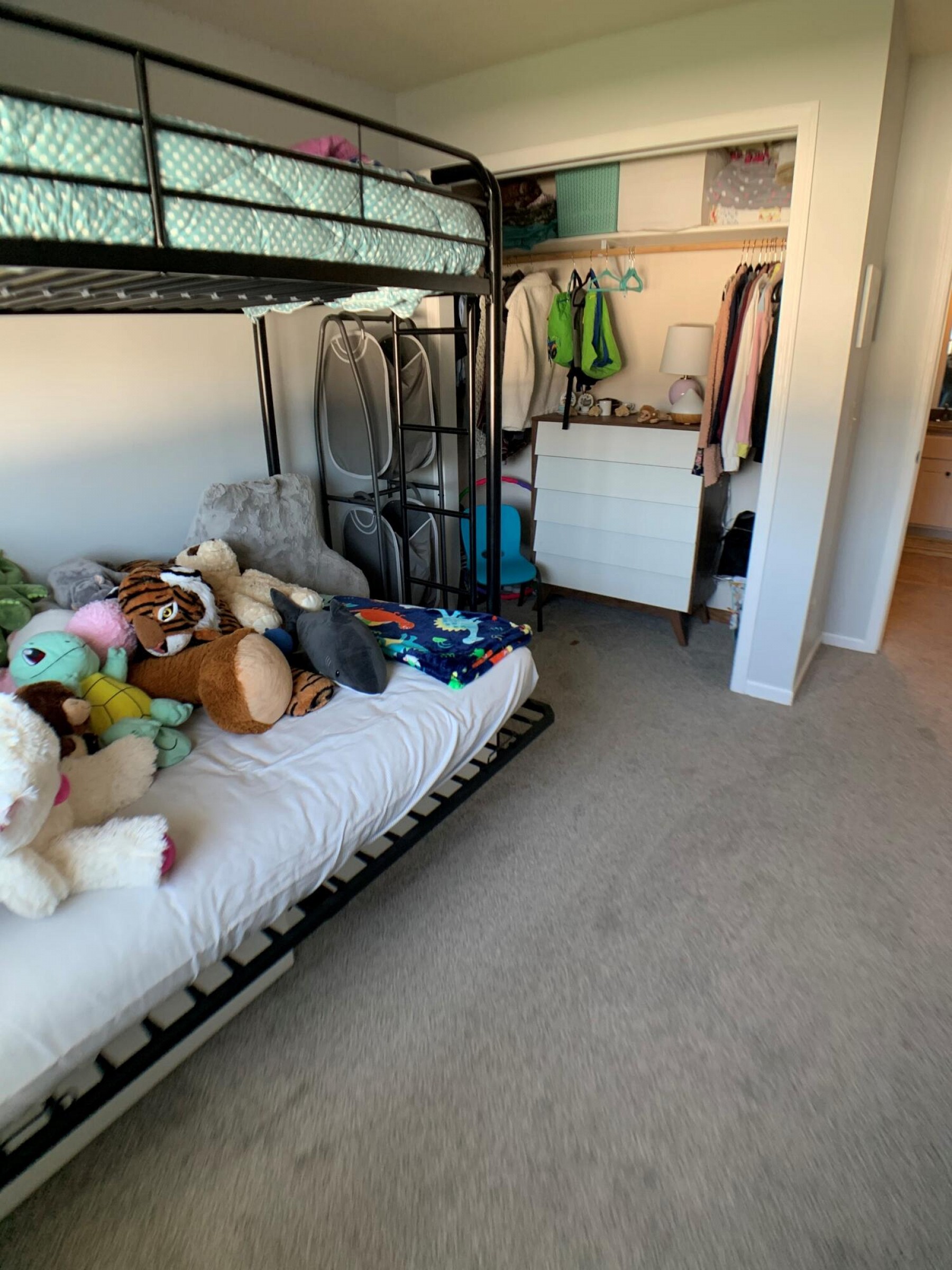 716 Sun Valley Street, Brookings, SD 57006