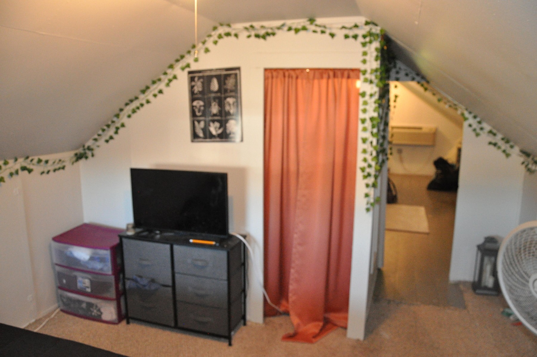 206 6th Street, Brookings, SD 57006